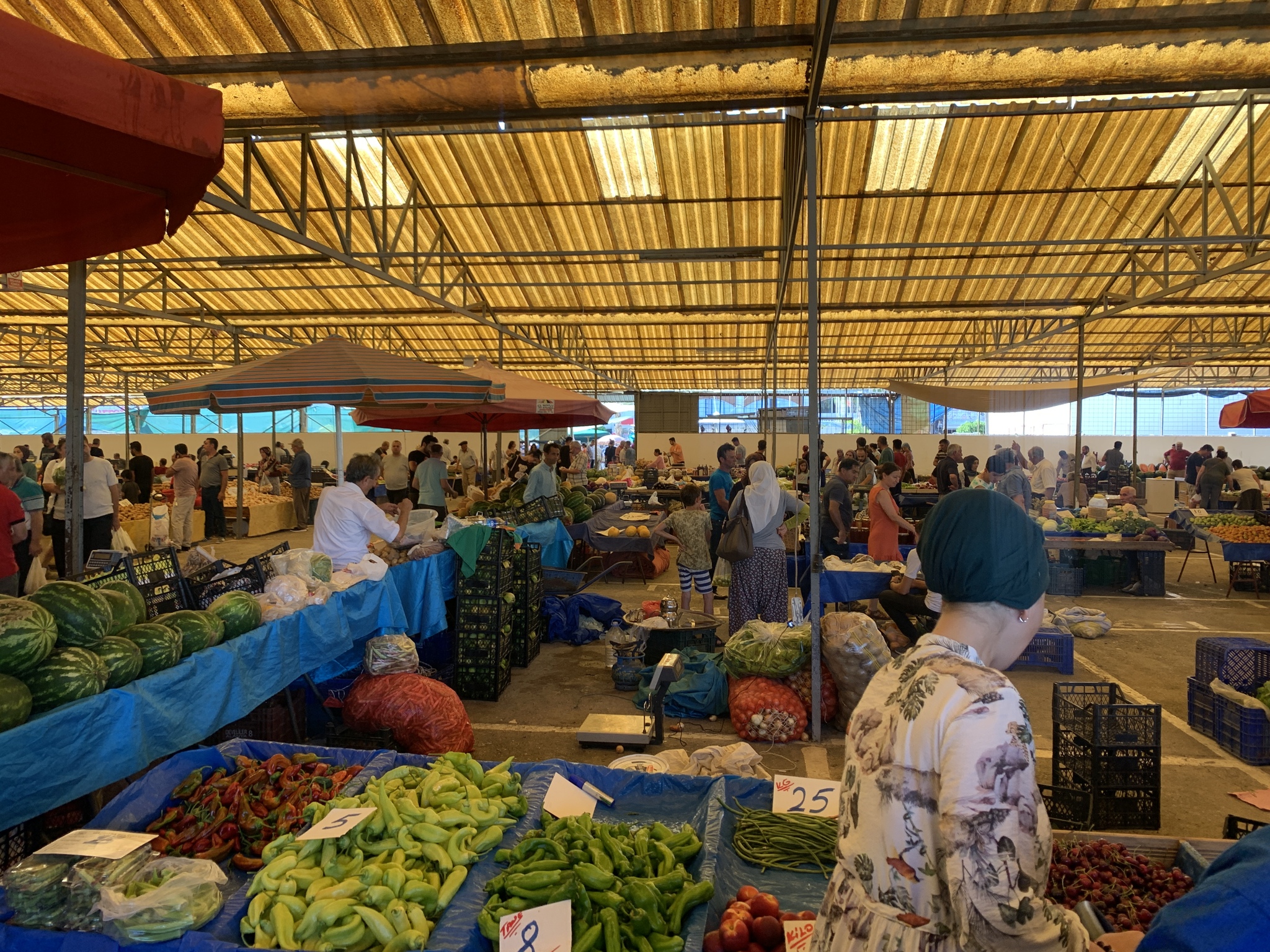 Prices for fruits and vegetables in Turkey now - June 2022. In the city of Gazipasa - My, Turkey, Prices, Longpost, Vegetables, Фрукты, Gazipasa