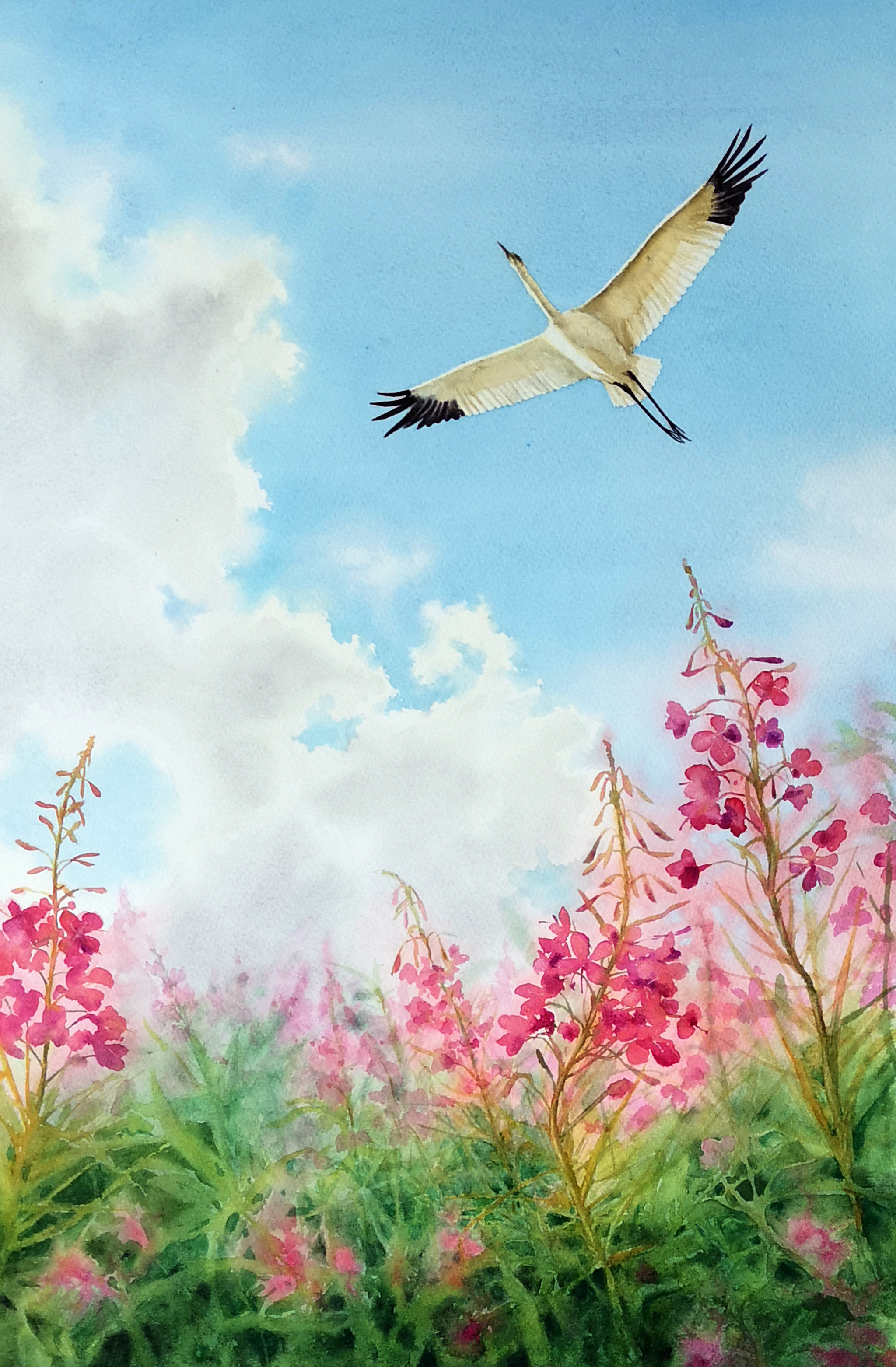 Pie in the sky. - My, Siberian crane, Pie in the sky, Watercolor, Painting, Painting