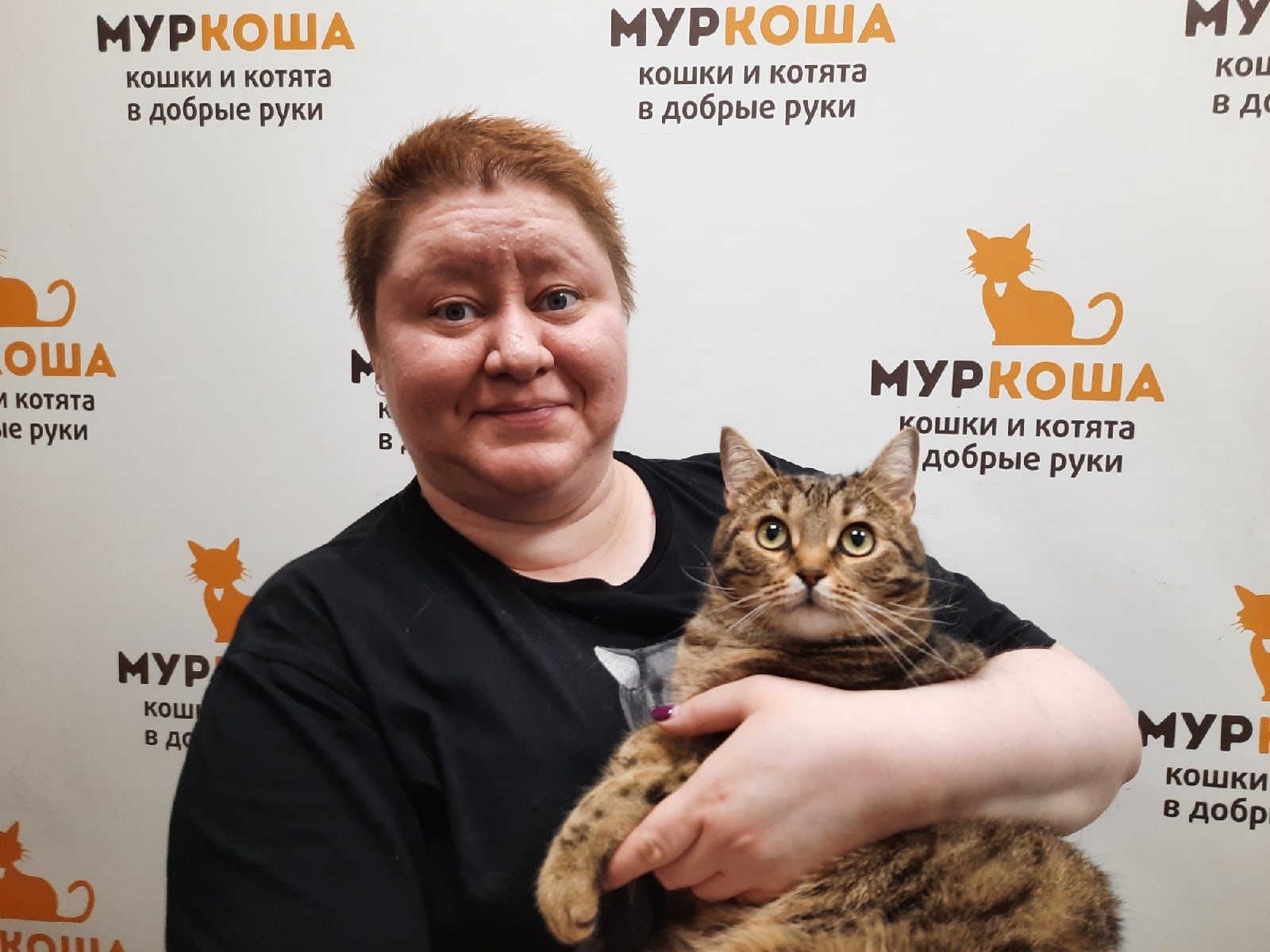 We are happy to share our successes with you. - My, Murkosh shelter, Animal shelter, cat, Touching, Making the World Better, Found a home, Positive, Video, Youtube, Longpost