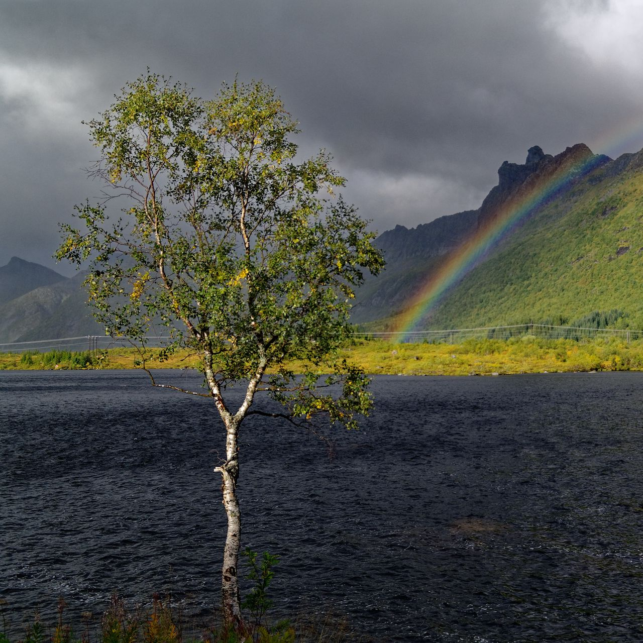 Rainbow - Rainbow, The photo