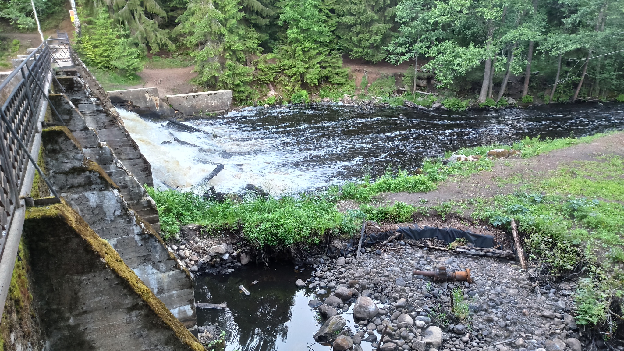 Hiking story #6: Varamanselka ridge ecological route (Petajarvi route) - My, Tracking, Hiking, Walk in the woods, Saint Petersburg, Leningrad region, Reserves and sanctuaries, Pa, Hydroelectric power station, Longpost