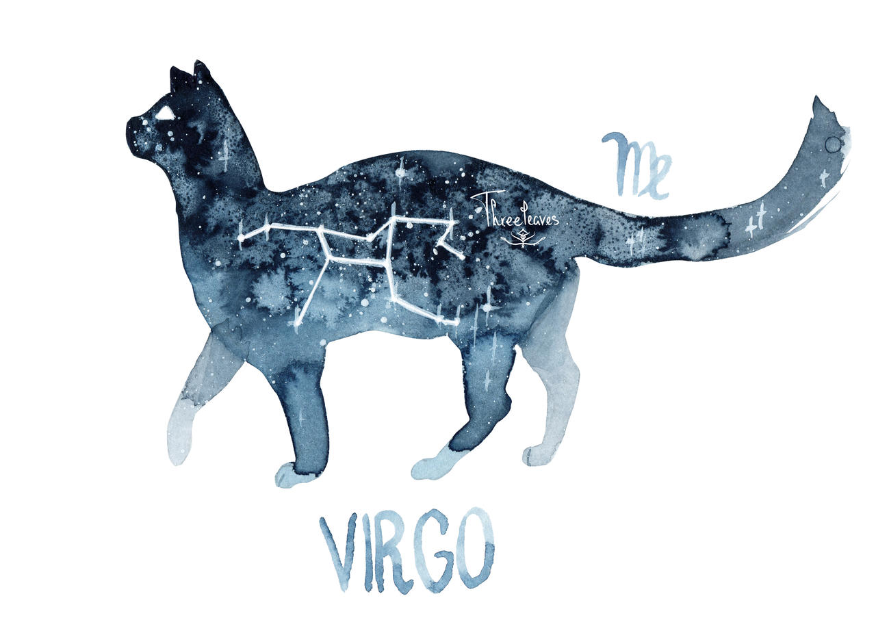 cat zodiac - Art, Zodiac signs, cat, Constellations, Watercolor, Modern Art, Deviantart, Canon, Longpost