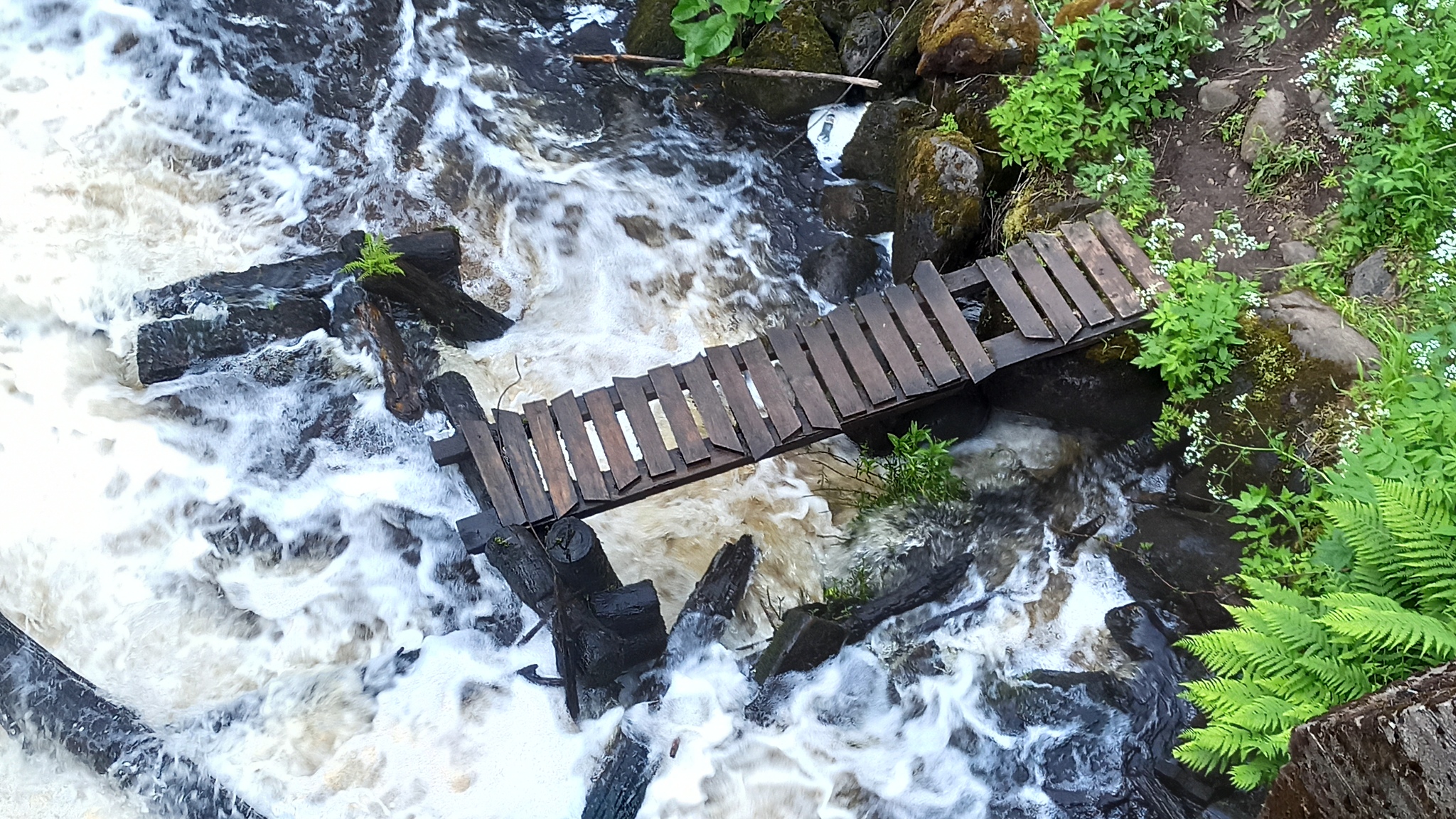 Hiking story #6: Varamanselka ridge ecological route (Petajarvi route) - My, Tracking, Hiking, Walk in the woods, Saint Petersburg, Leningrad region, Reserves and sanctuaries, Pa, Hydroelectric power station, Longpost