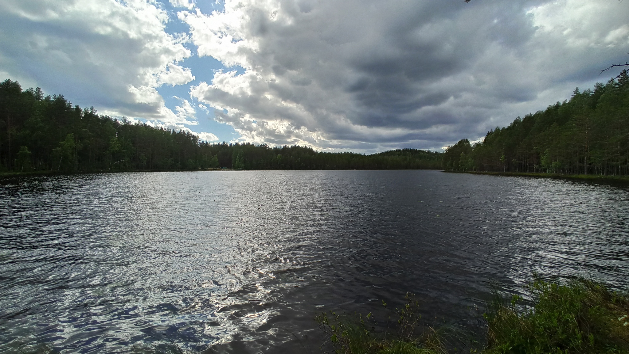 Hiking story #6: Varamanselka ridge ecological route (Petajarvi route) - My, Tracking, Hiking, Walk in the woods, Saint Petersburg, Leningrad region, Reserves and sanctuaries, Pa, Hydroelectric power station, Longpost