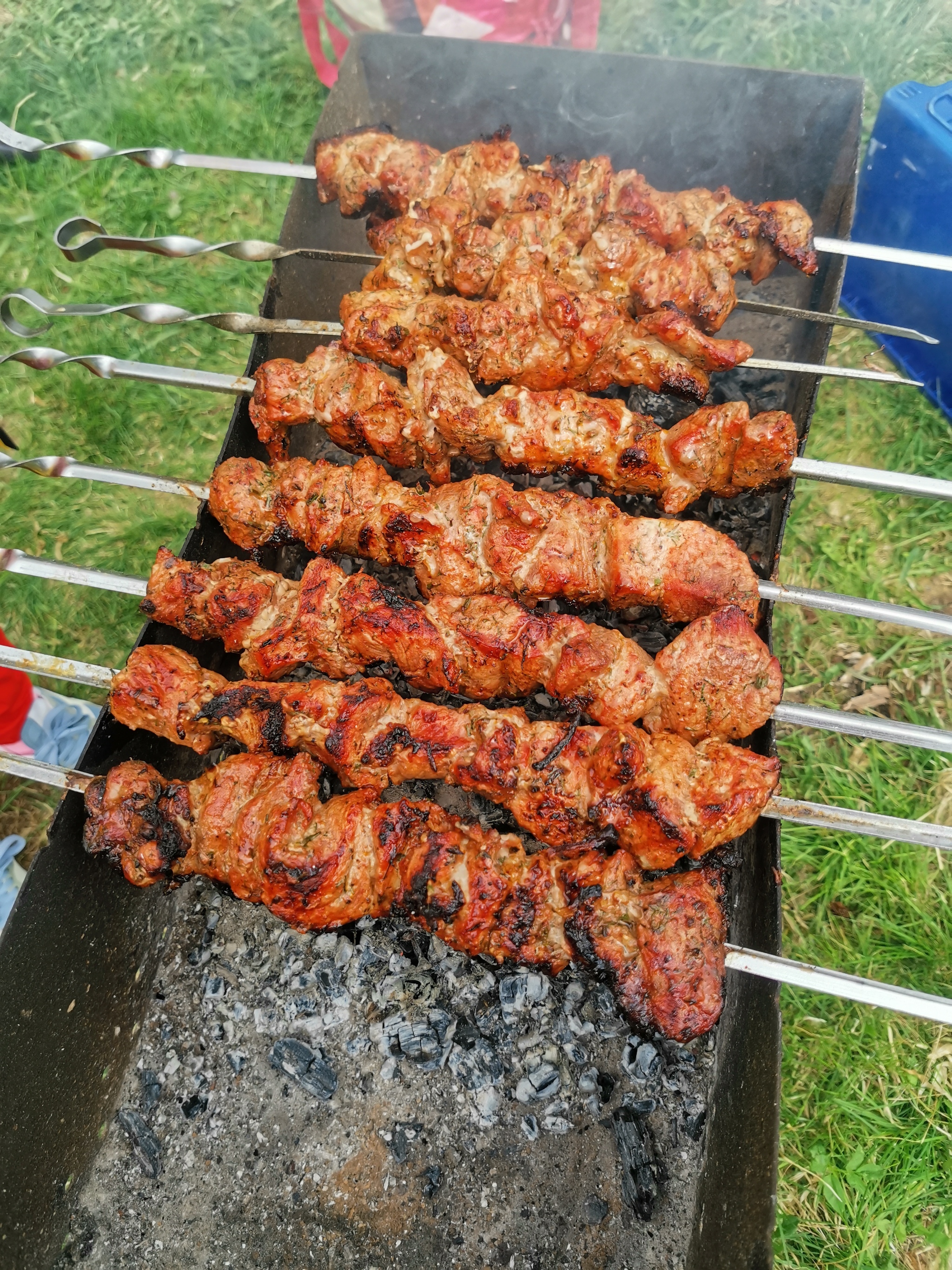 Reply to the post The most important secret of shish kebab - My, Shashlik, Caucasians, Secret, Cooking, Shashlykoff, Foodporn, Reply to post