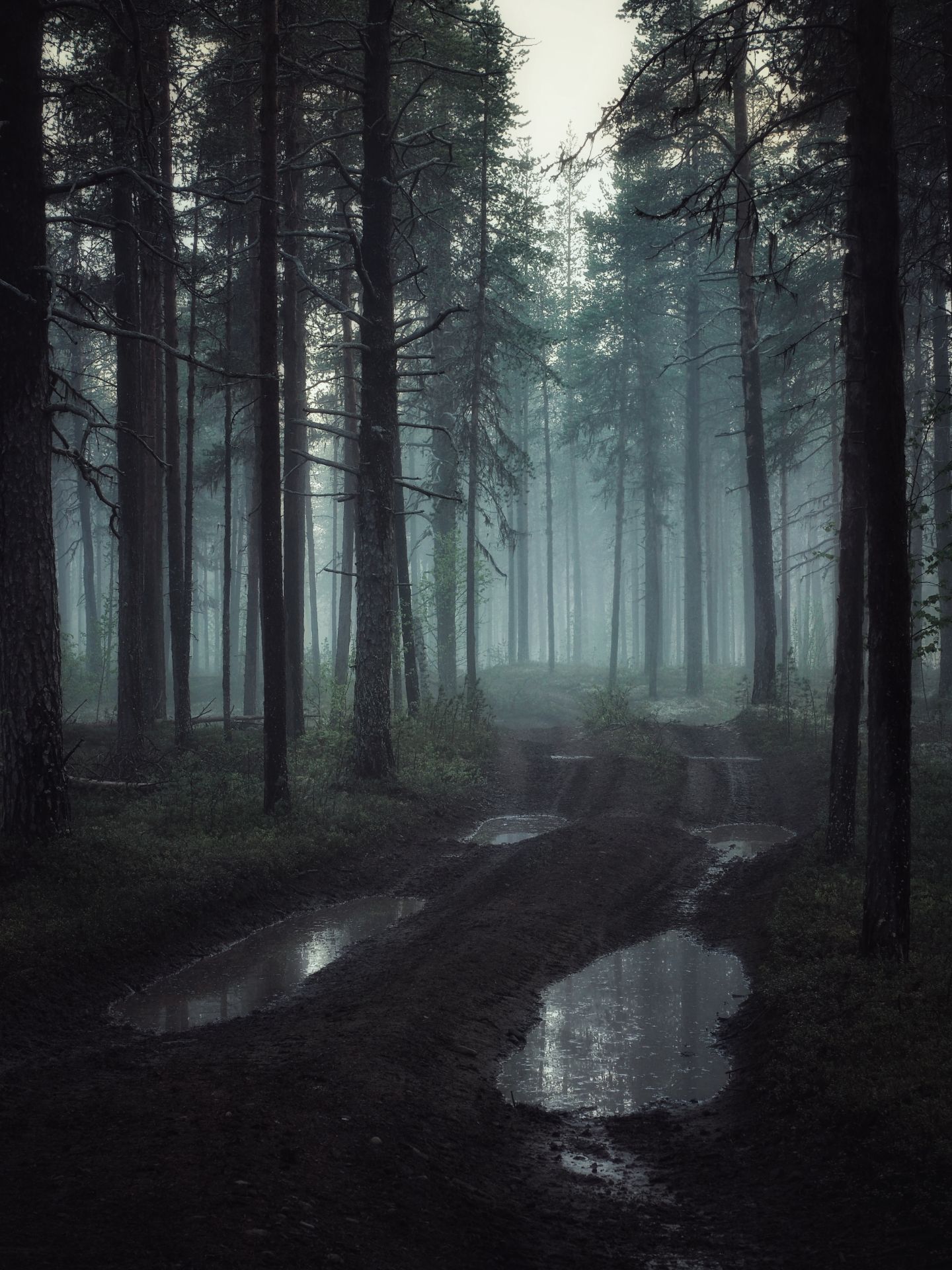 adventure road - My, The photo, Landscape, Travels, Murmansk region, Fog, Road, Nature, The nature of Russia