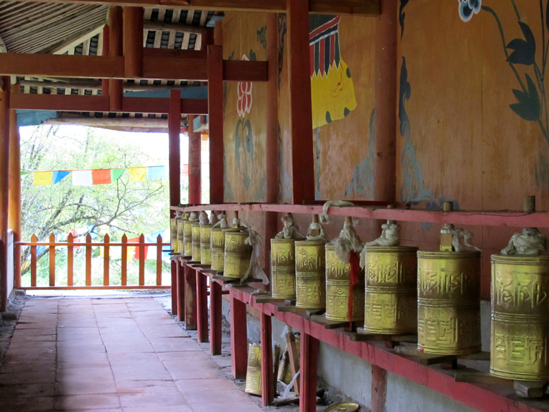 On the national parks of China. - My, Travels, China, , Longpost, The photo