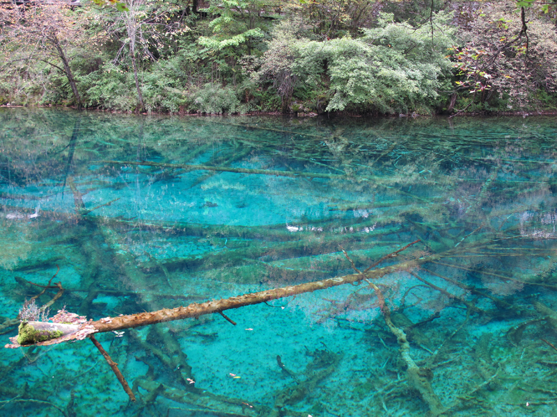 On the national parks of China. - My, Travels, China, , Longpost, The photo