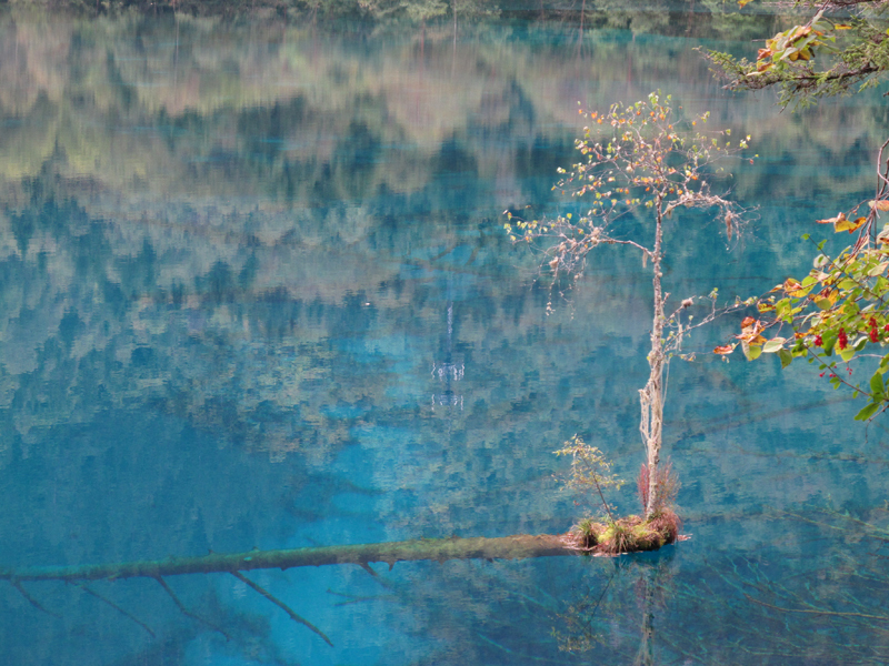 On the national parks of China. - My, Travels, China, , Longpost, The photo