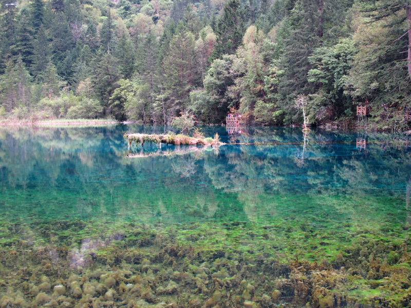 On the national parks of China. - My, Travels, China, , Longpost, The photo