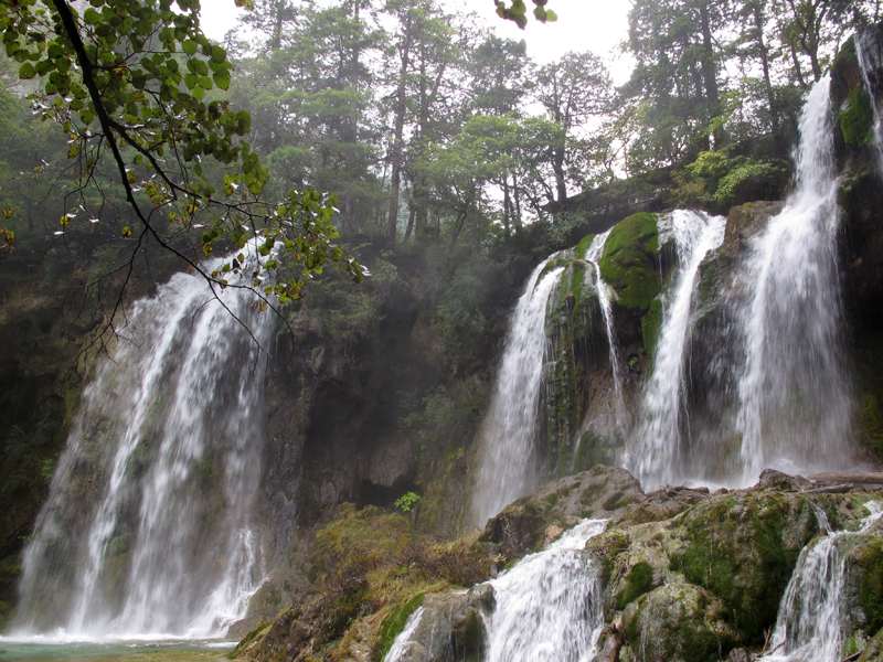 On the national parks of China. - My, Travels, China, , Longpost, The photo