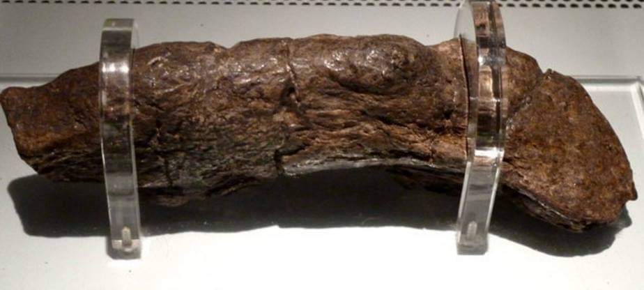 Gua ..... but a mammoth or the largest human (Viking) coprolite found - Archaeological finds, Coprolites, Feces