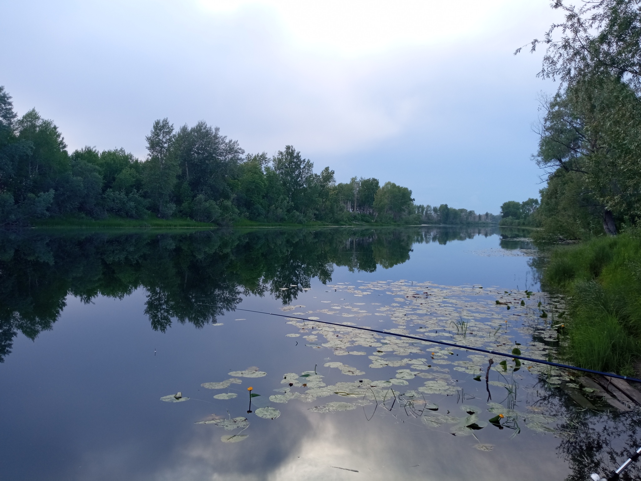 Курья Колыванский район Нсо - Озеро, Красота природы, Фотография