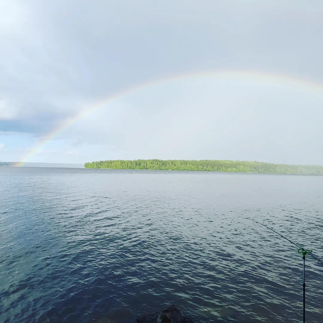 Rainbow - My, Forest, Relaxation, Lake, Fishing, Rainbow, Photo on sneaker, Longpost