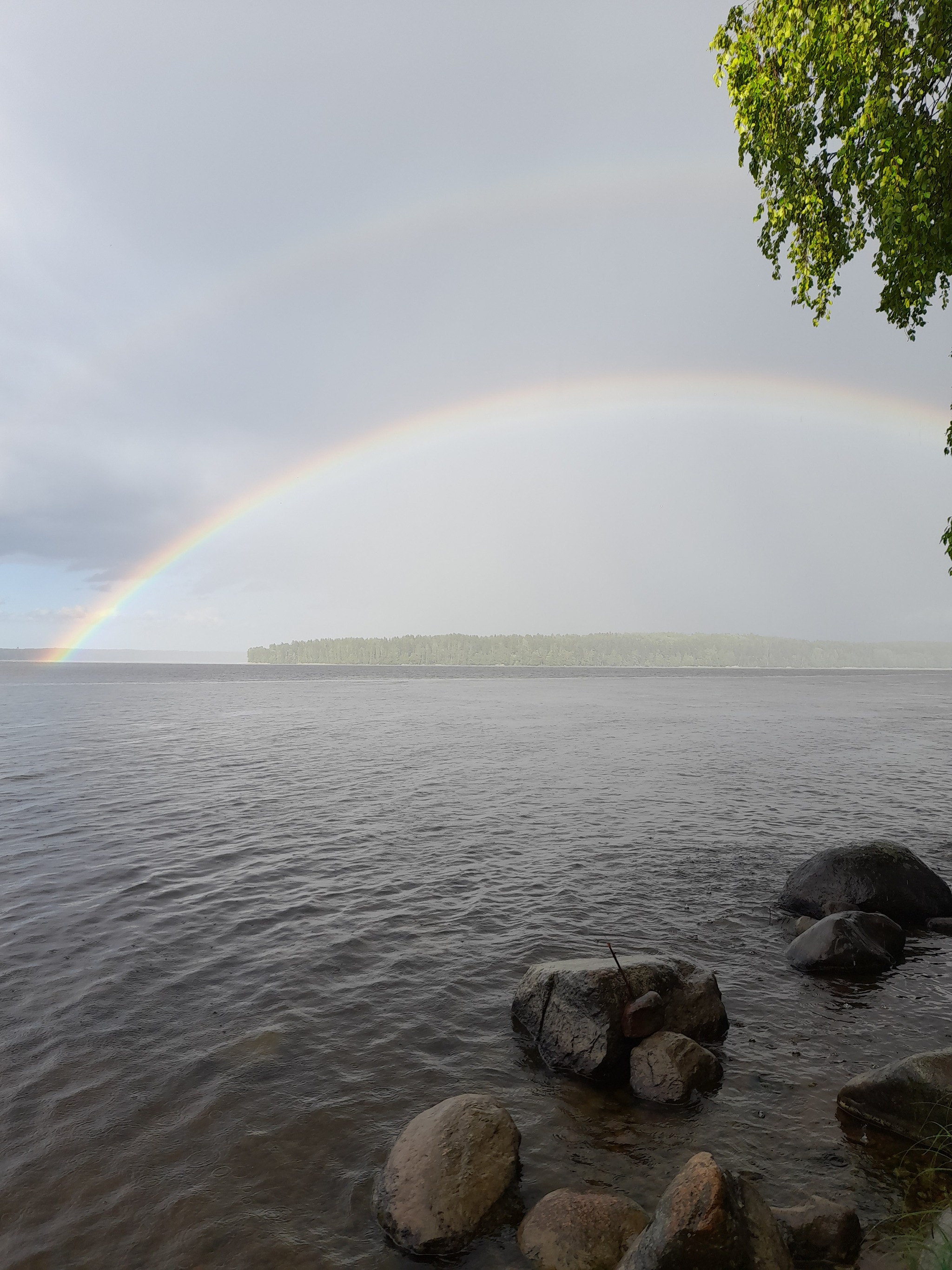 Rainbow - My, Forest, Relaxation, Lake, Fishing, Rainbow, Photo on sneaker, Longpost