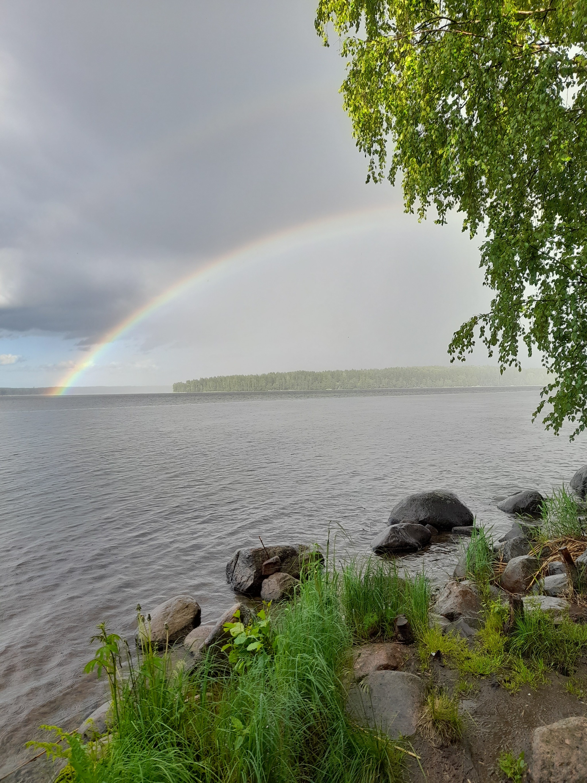 Rainbow - My, Forest, Relaxation, Lake, Fishing, Rainbow, Photo on sneaker, Longpost