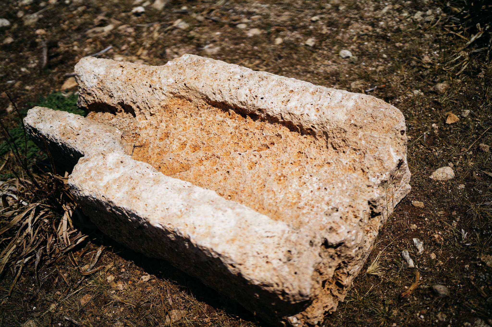 Ruins of the ancient settlement Lirboton Kome - My, Turkey, Abandoned, Travels, Ruin, Ancient world, Olive oil, Olive tree, Antalya, Longpost