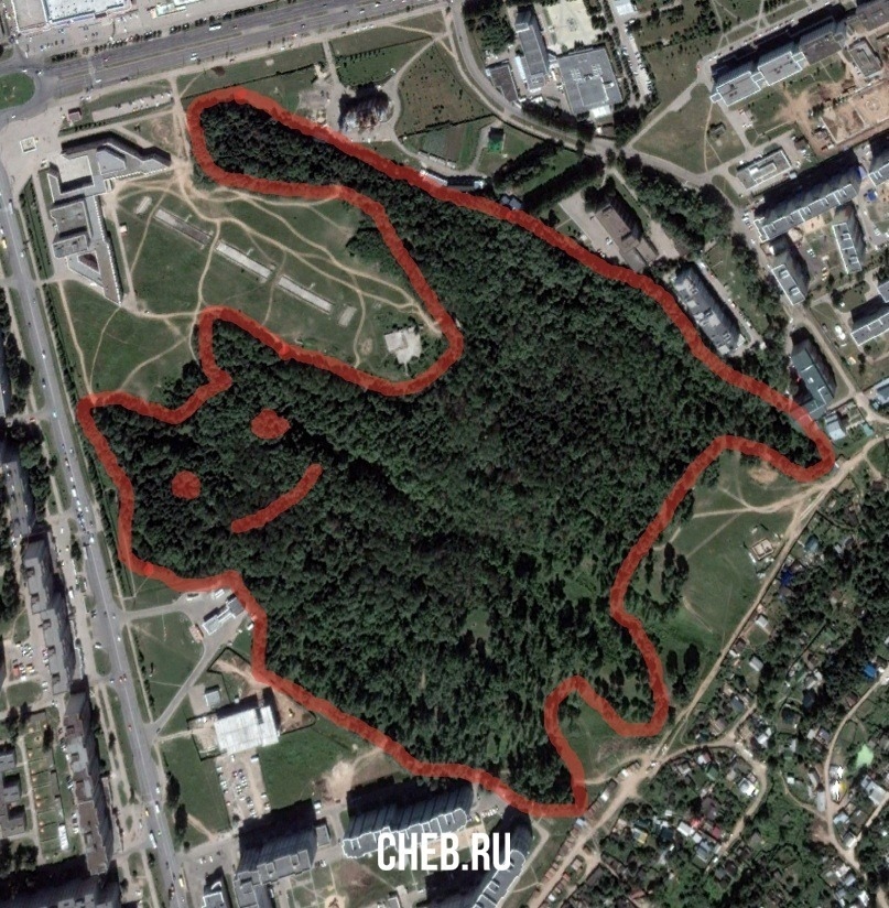 Park in the form of a cat in the city of Cheboksary - Cheboksary, The park, cat, Russia