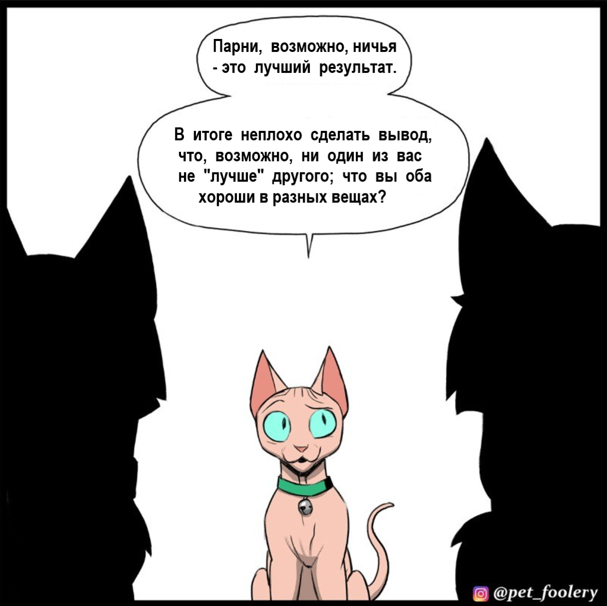 Who is the best? - Comics, Pet foolery, Brutus and Pixie, Lola and Mr. Wrinkle, cat, Dog, Humor, Competitions, Translated by myself, Longpost