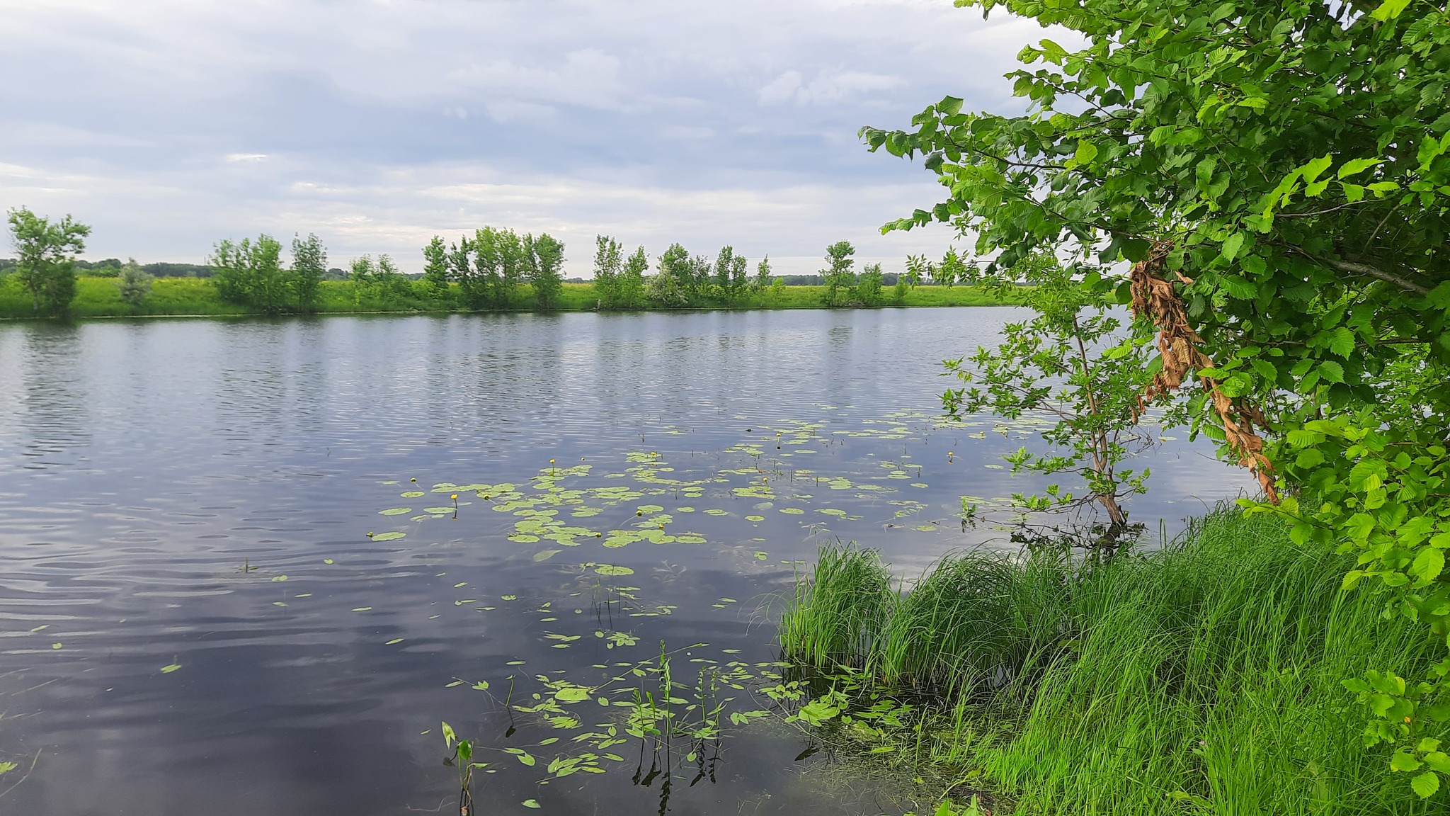 Everyday life of a vacationer - Fishing, Samara Region, Spinning, Lake, Longpost