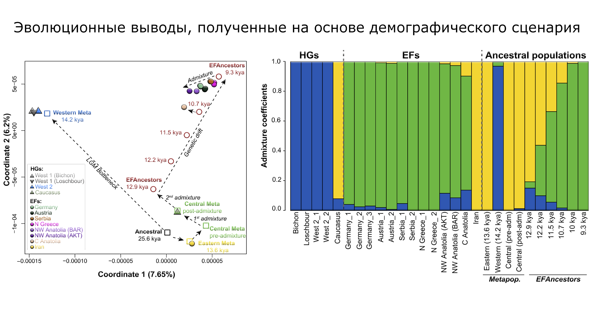 Генетическое происхождение первых земледельцев Юго-Западной Азии и Европы - Моё, Наука, История, Неолит, Исследования, Археология, Палеогенетика, Антропогенез, Земледелие, Каменный век, Популяционная генетика, Видео, YouTube, Гифка, Длиннопост