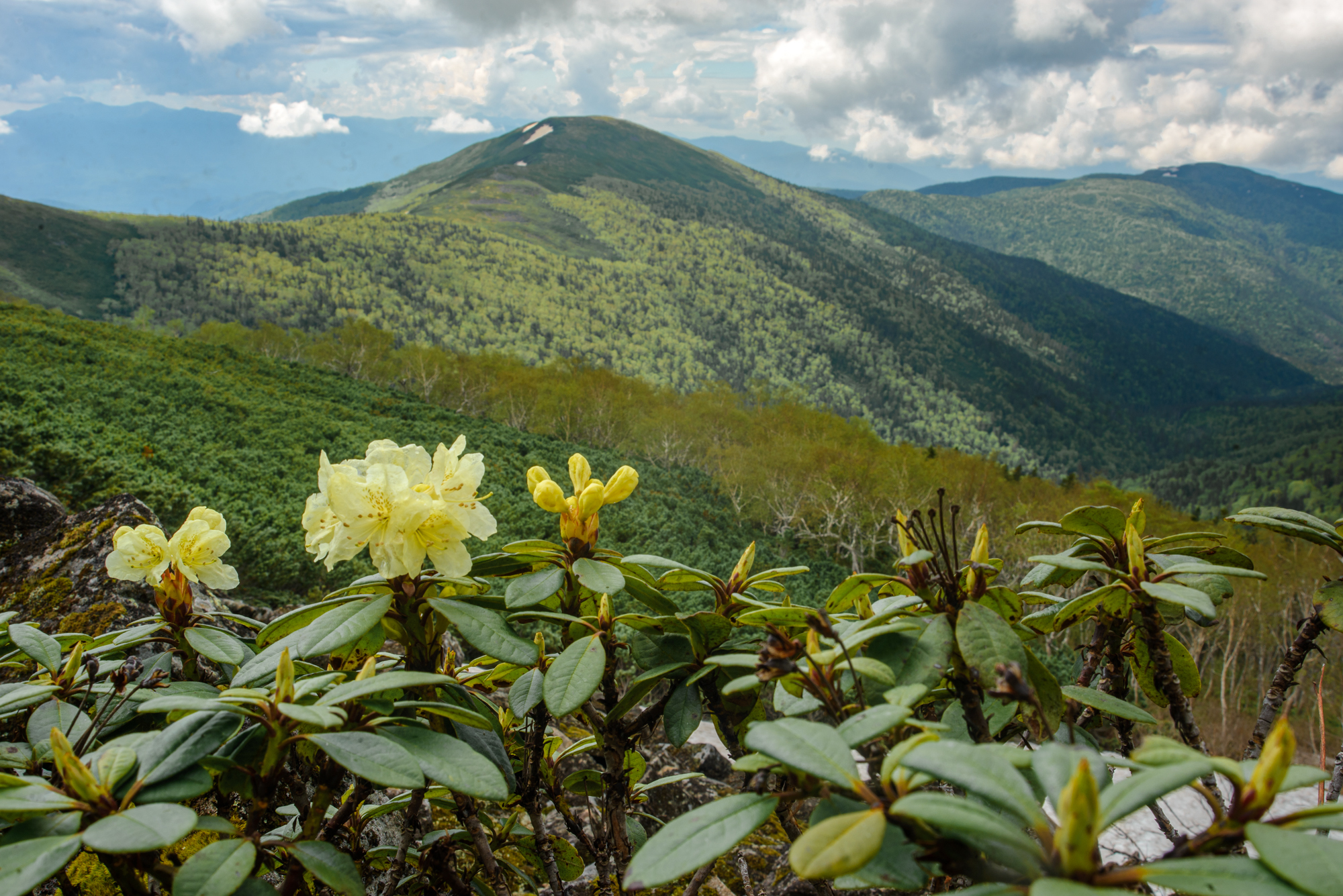 Hiking in the mountains - My, Mountain tourism, Hike, The mountains, Travel across Russia, The rocks, Khabarovsk, Дальний Восток, Longpost