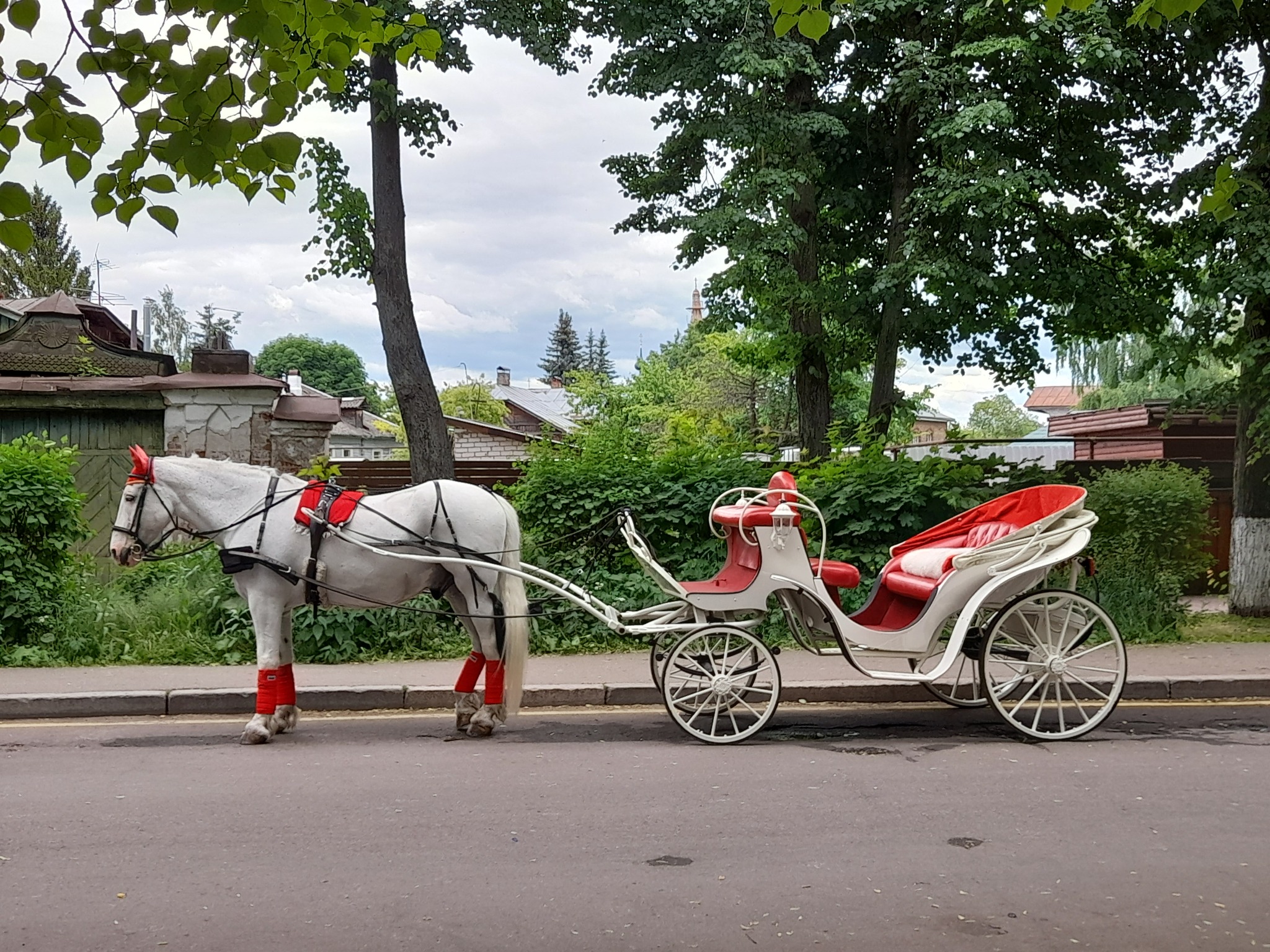 Suzdal this summer - My, Mobile photography, Nature, Vacation, Longpost