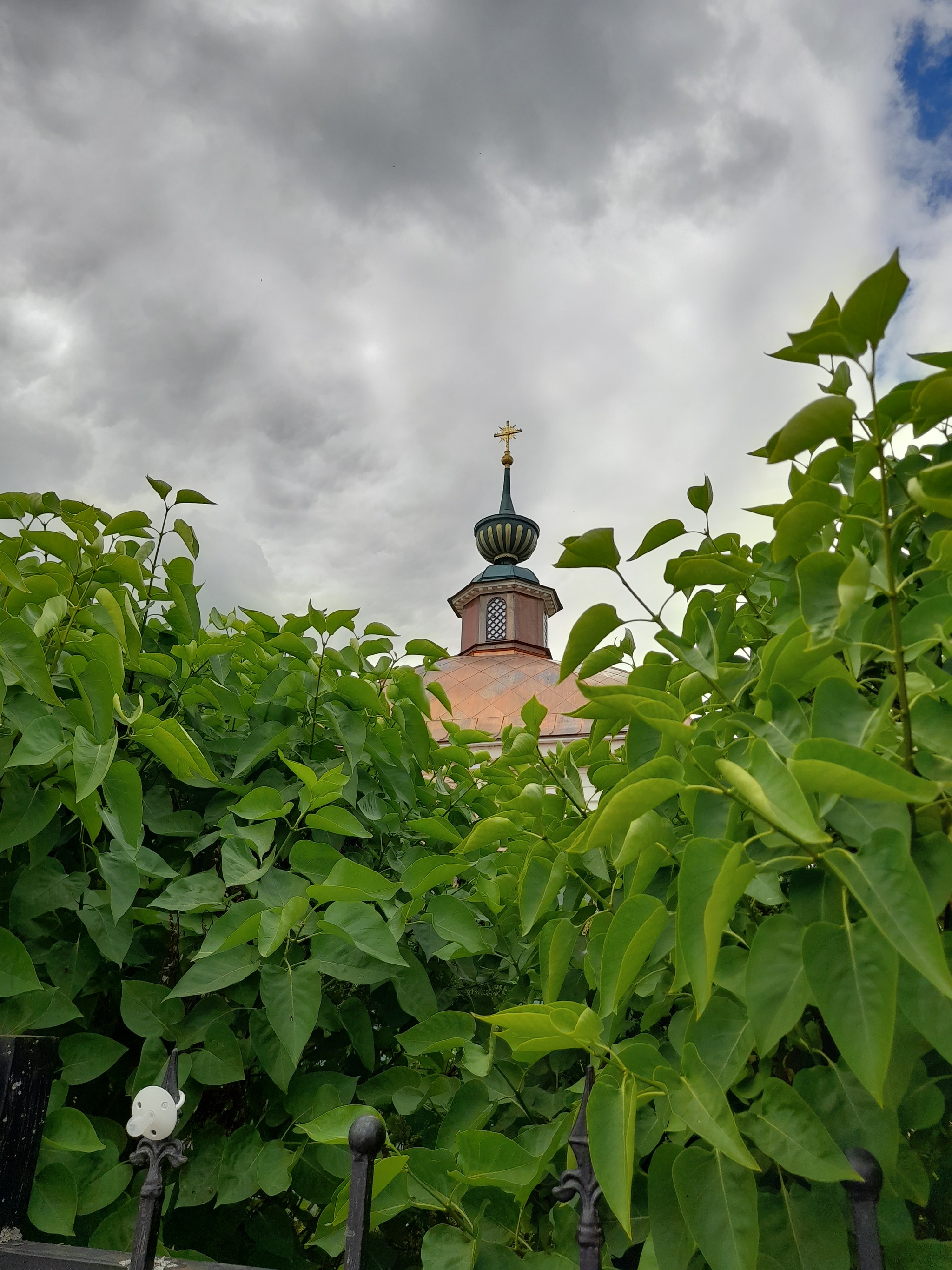 Suzdal this summer - My, Mobile photography, Nature, Vacation, Longpost