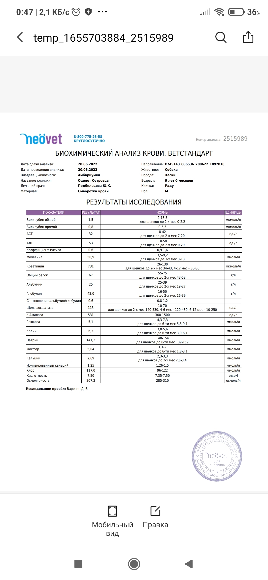 Помогите вернуть мне хвостика к жизни - Моё, Ветеринар, Собака, Почки, Длиннопост