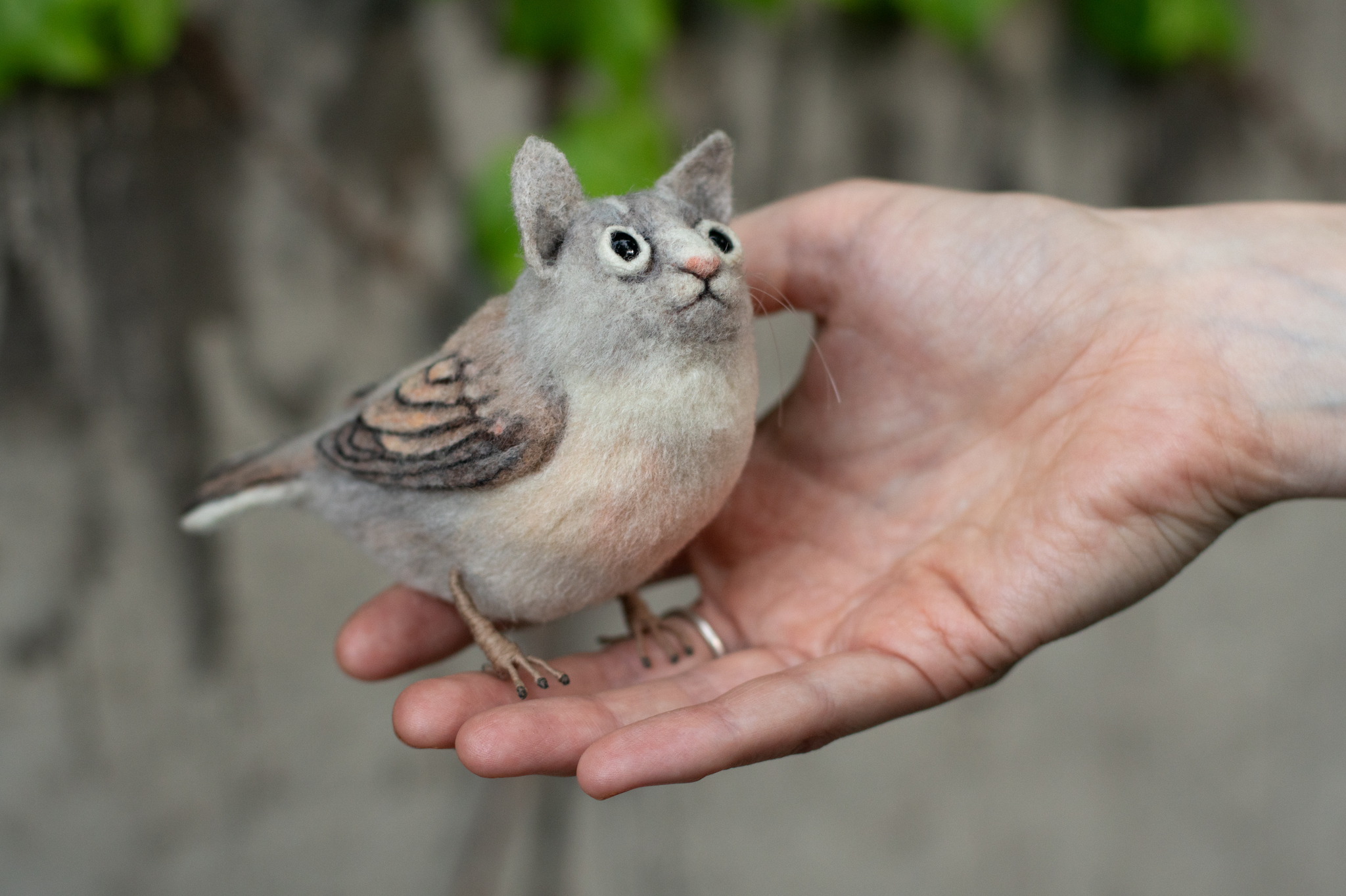 Koshkaptitsa! - My, Dry felting, Creation, Birds, cat, Video, Vertical video, Longpost, Needlework without process