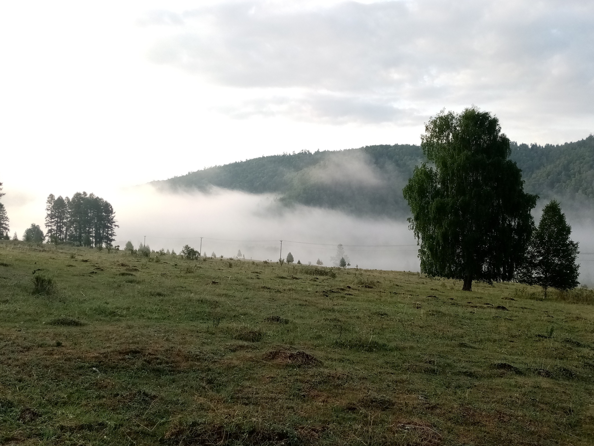 Reply to the post Evening - My, Relaxation, The photo, Nature, Altai Republic, Video, Reply to post, Longpost