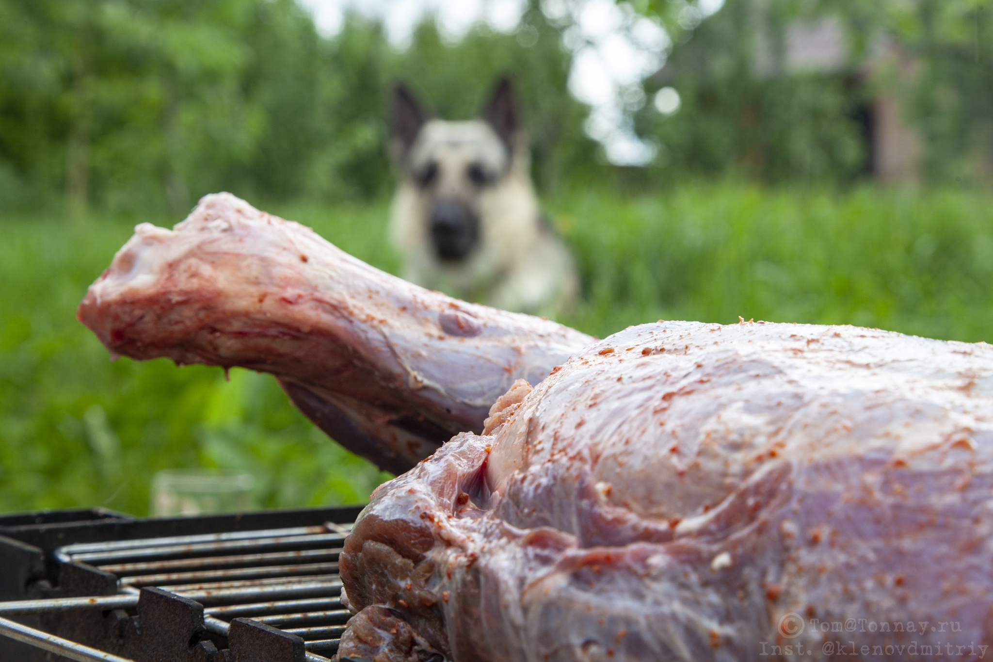 Boar on the grill (well, almost) - My, Meat, Cooking, Recipe, Preparation, Dinner, Game, Brazier, B-B-Q, Boar, Shovel, Longpost