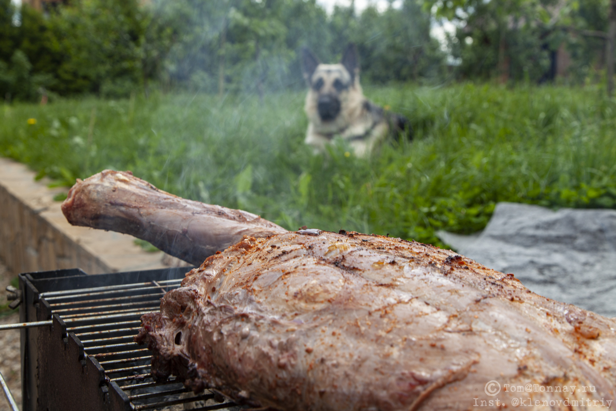 Boar on the grill (well, almost) - My, Meat, Cooking, Recipe, Preparation, Dinner, Game, Brazier, B-B-Q, Boar, Shovel, Longpost