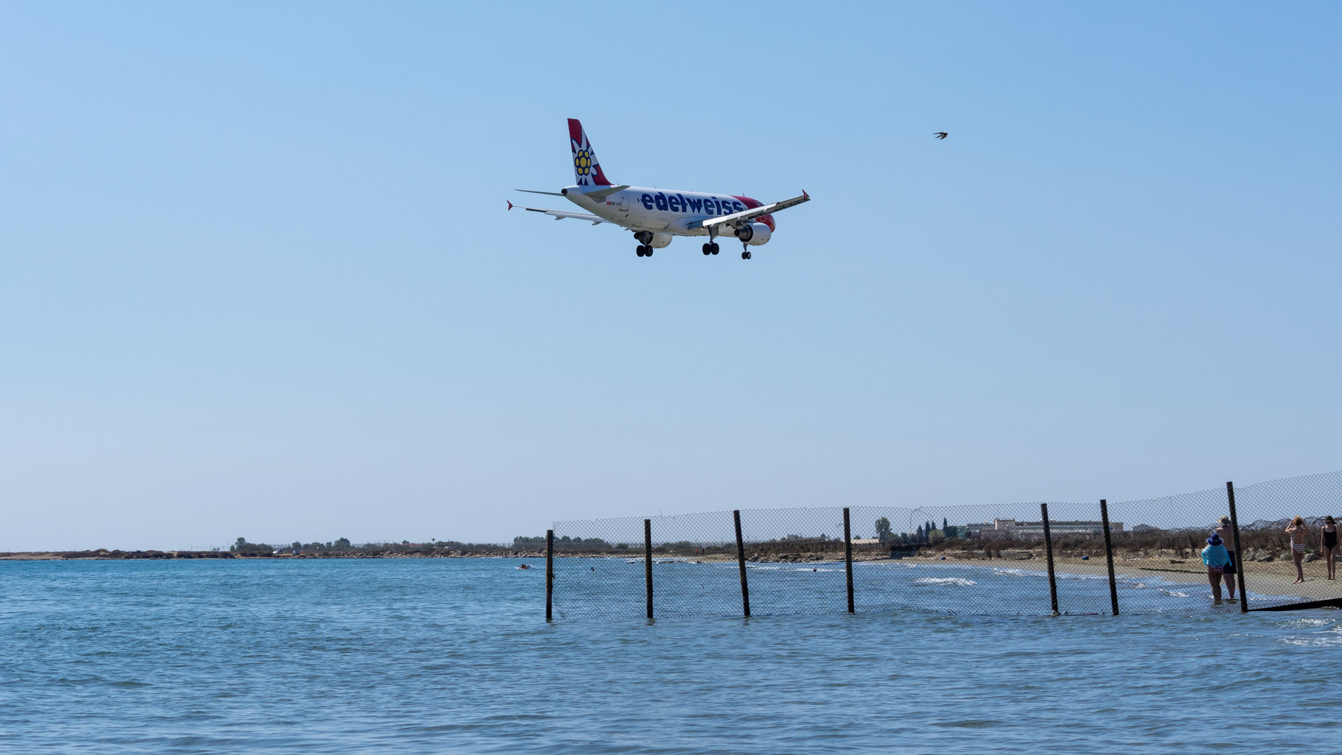 Spotting on the beach part 1 - My, Airplane, Vacation, Sea, Spotting, Aviation, Beach, Cyprus, The airport, Pentax, Pentax k-3, Airbus, Boeing, Longpost