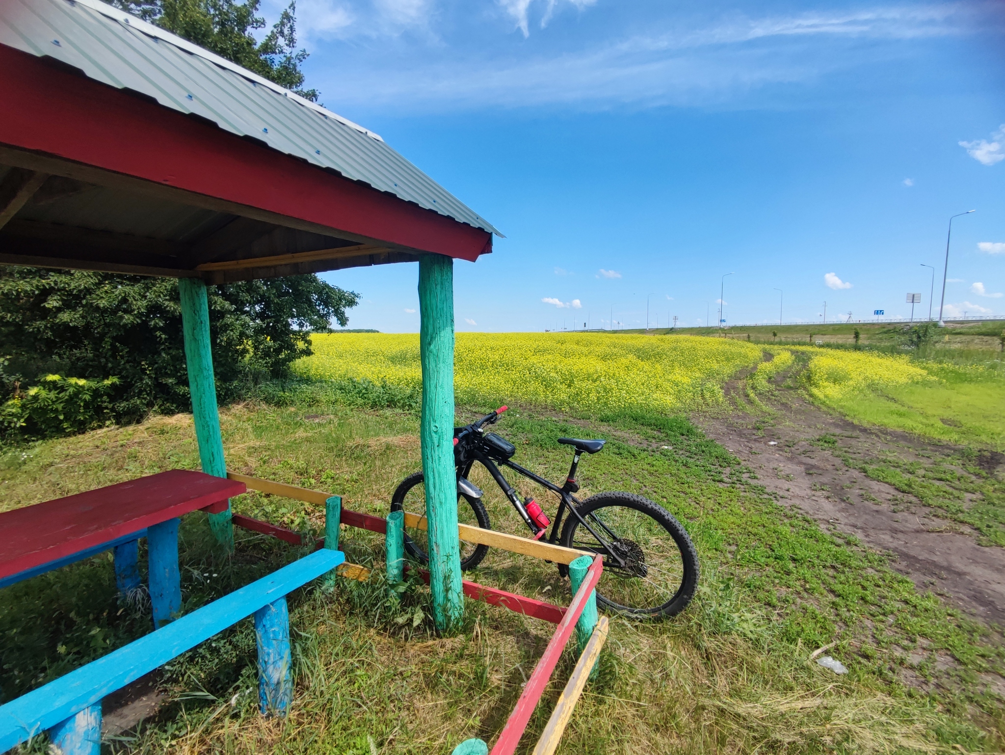 Walked the horse - My, A bike, Hardtail, Longpost