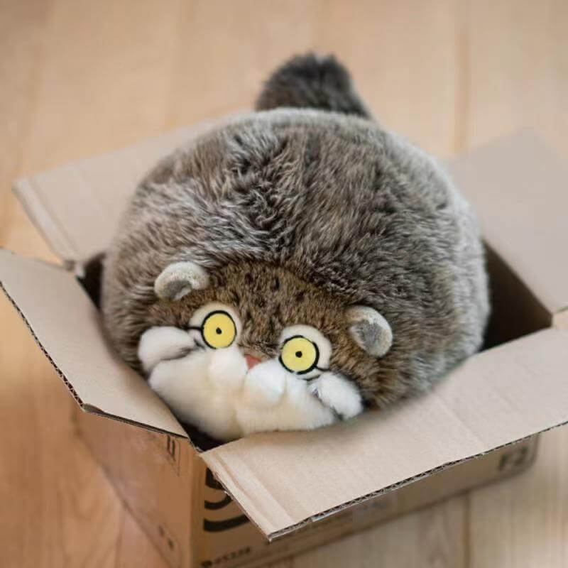 222 manula - Pallas' cat, Pet the cat, Small cats, Cat family, Predatory animals, Soft toy, Box