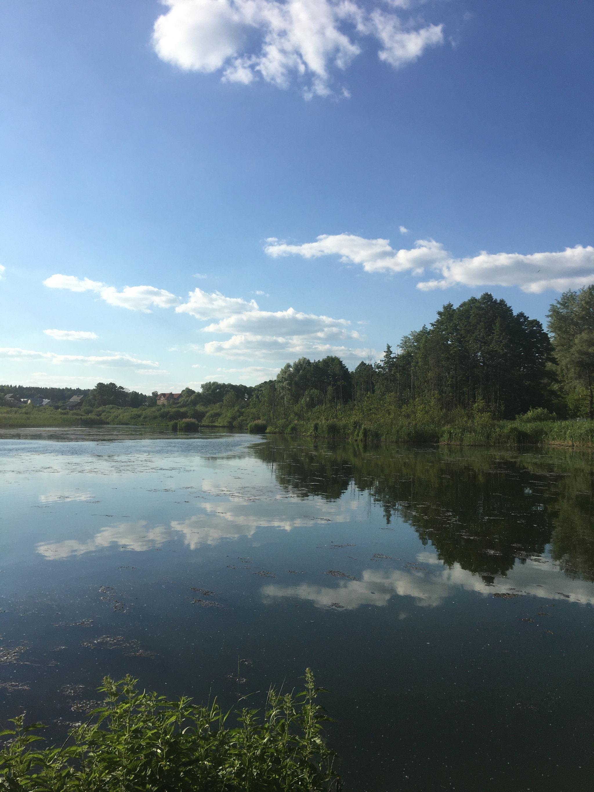 Fedurnovo) - My, Nature, Balashikha, Longpost