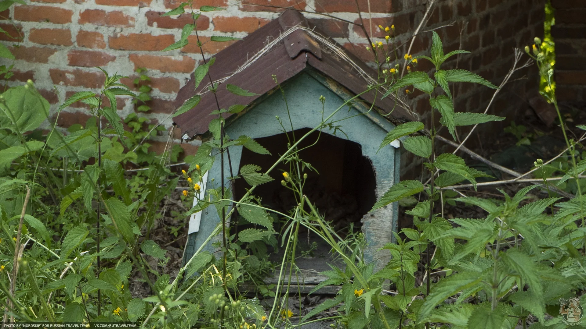 Post-Soviet Post-Apocalypse. Photo walk around an abandoned butter and cheese plant in the Kaliningrad region - My, Abandoned, Kaliningrad, Travels, Factory, the USSR, Longpost, The photo