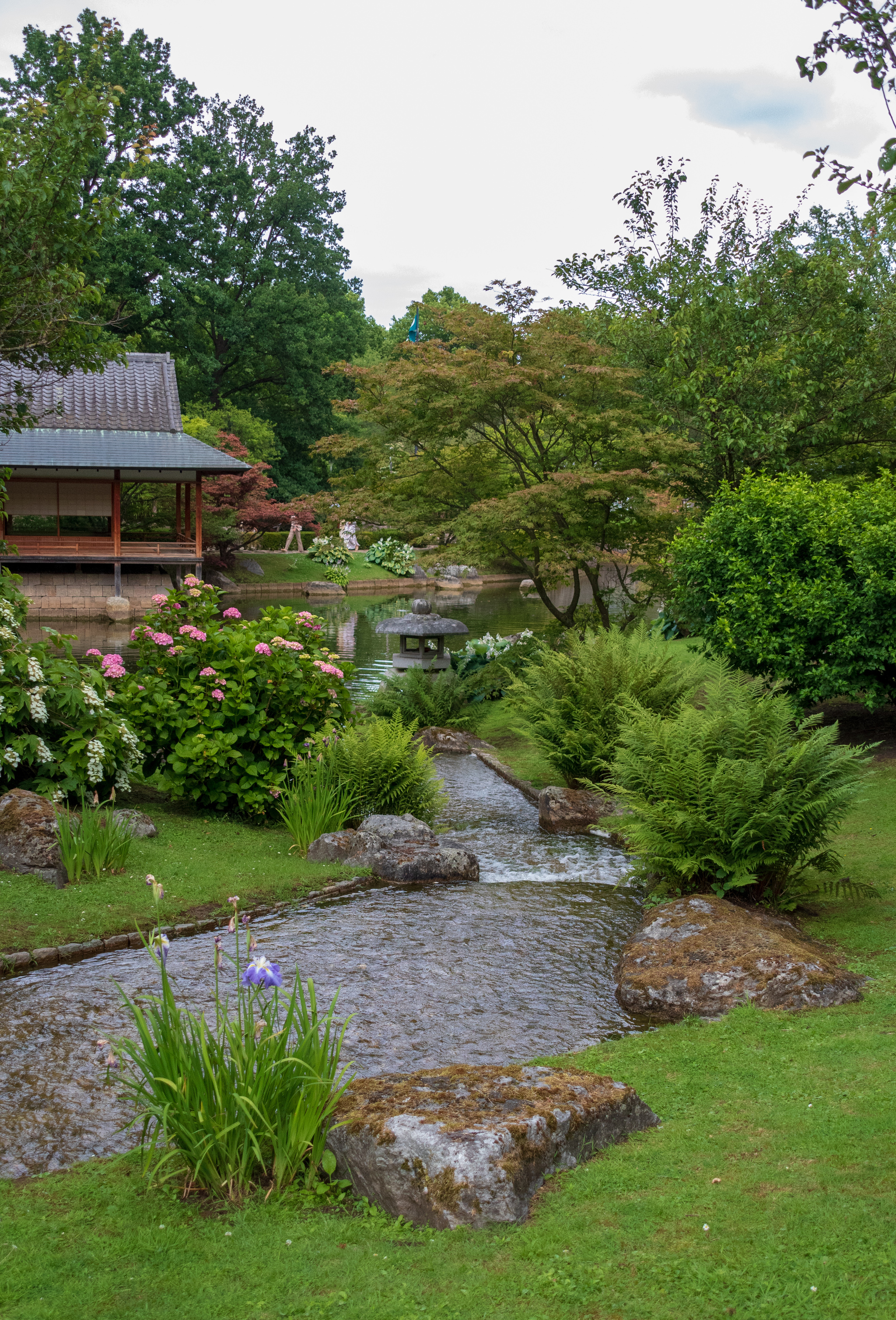 Japanese garden - My, The park, Japan, Belgium, The photo, Limburg, Stream, Pond, Catfish, Video, Youtube, Longpost