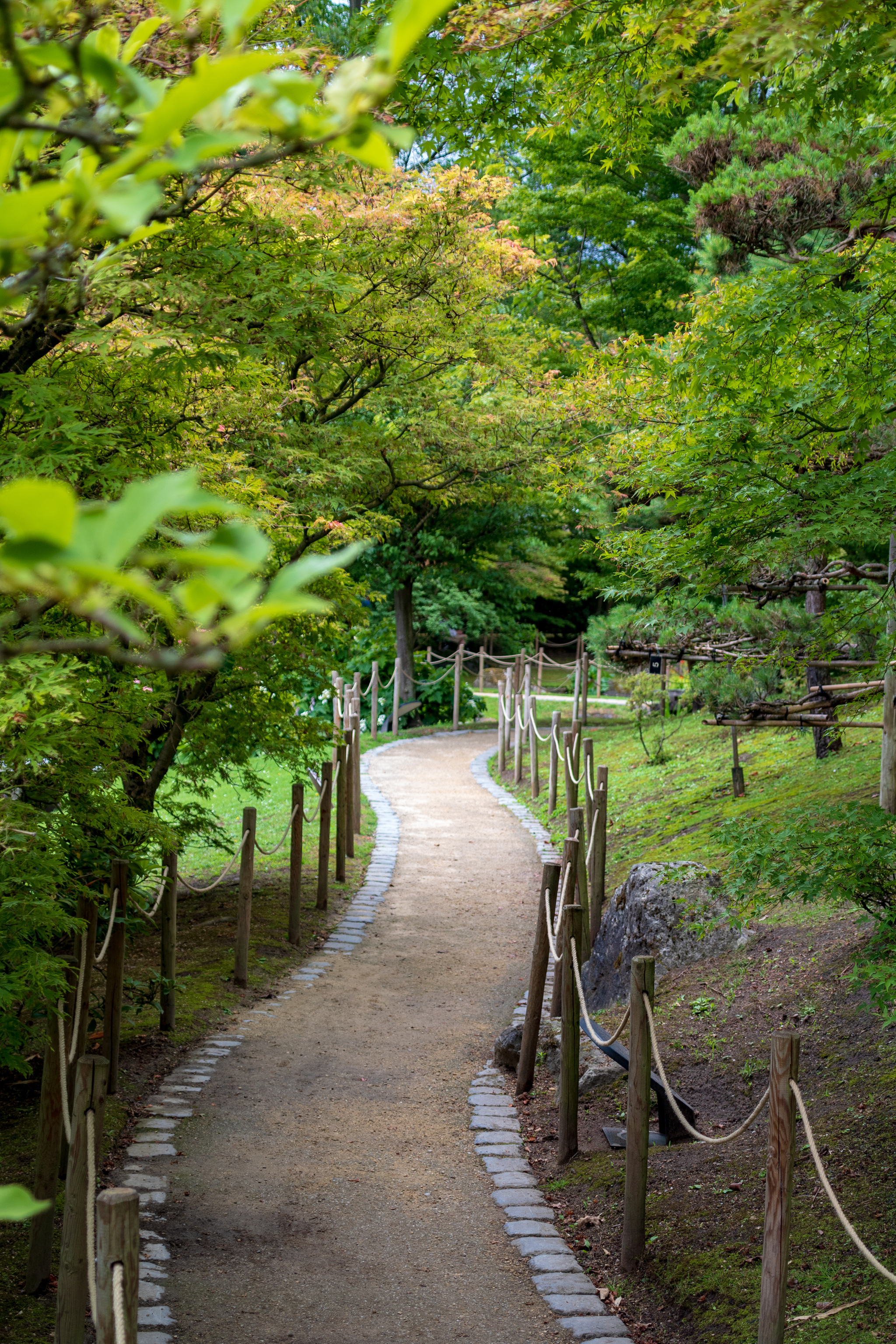 Japanese garden - My, The park, Japan, Belgium, The photo, Limburg, Stream, Pond, Catfish, Video, Youtube, Longpost