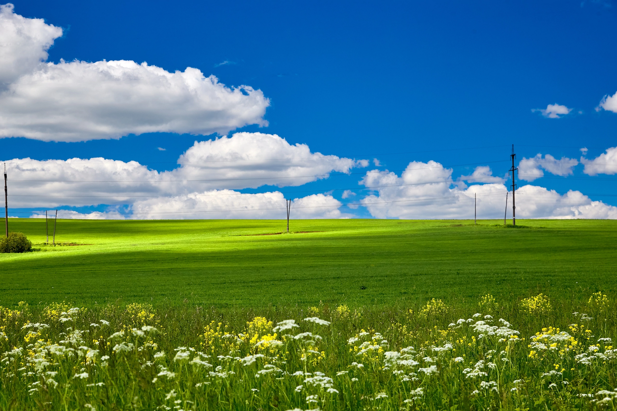 Reply to the post “Kotelnich. Kirov region. Reply to the post: before reaching the city of Venev, Tula region. Mom took a picture of her native places! - Nature, Kirov region, The photo, Field, Sky, Clouds, Urzhum, Reply to post