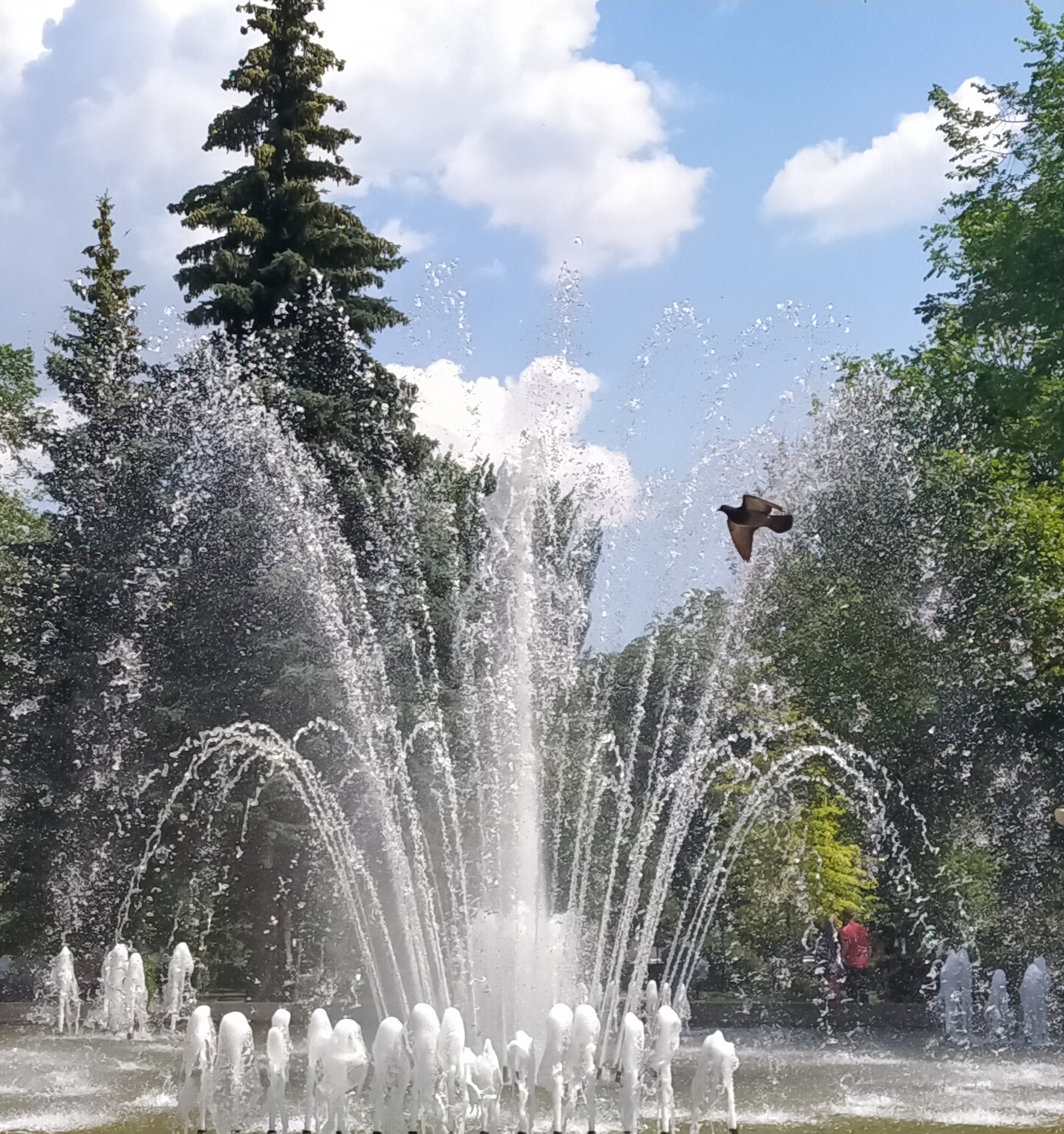 Koltsovsky square - My, The park, Square, Fountain, Voronezh, Longpost