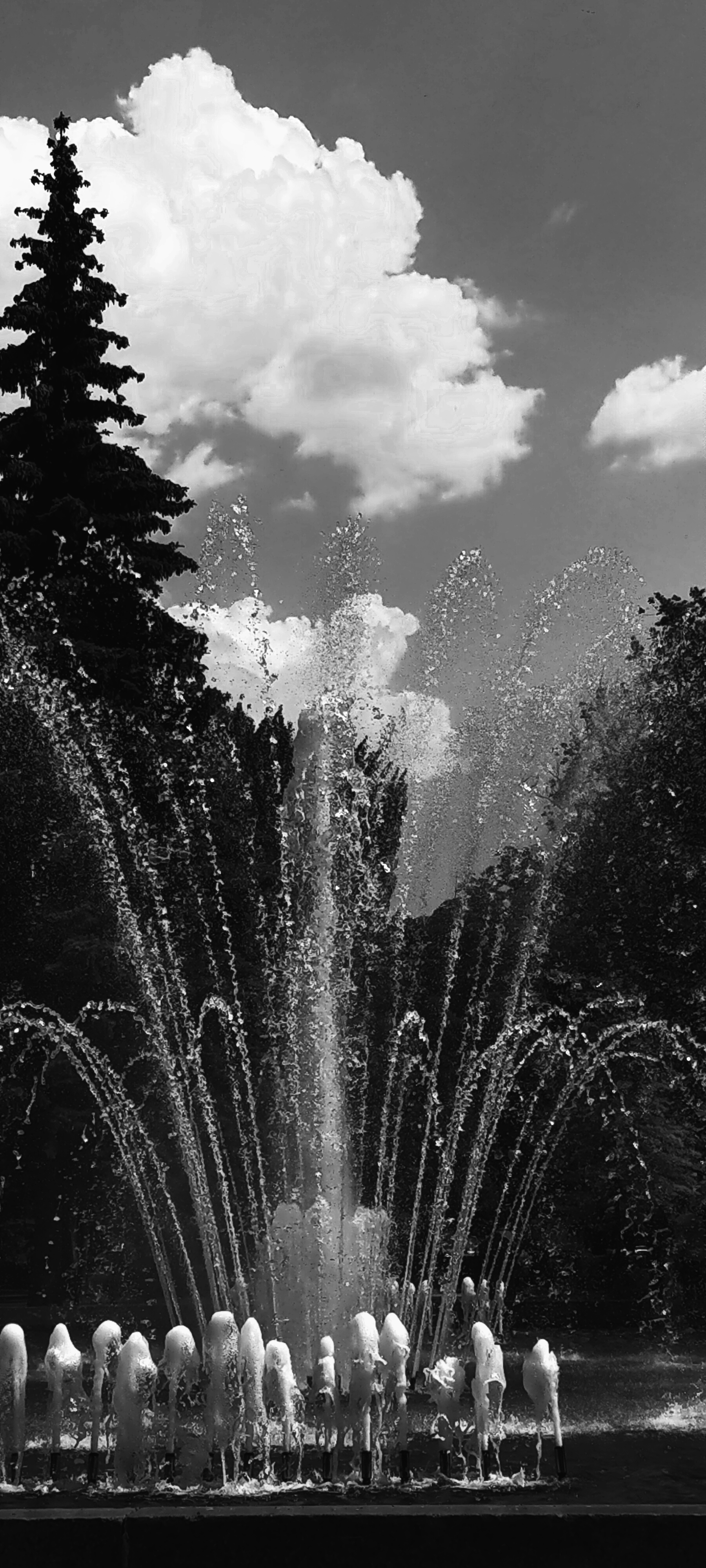 Koltsovsky square - My, The park, Square, Fountain, Voronezh, Longpost