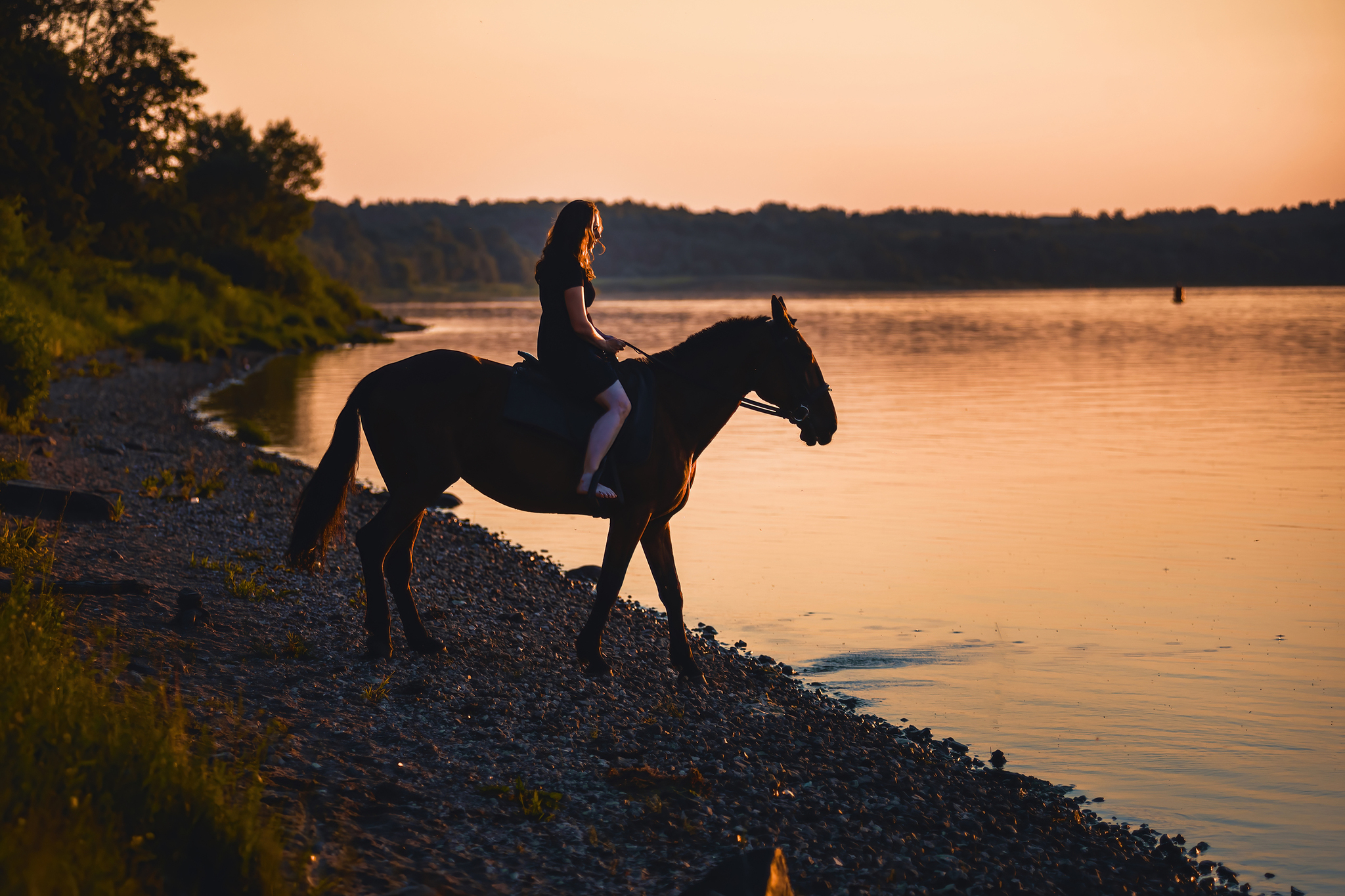 On the Sunset... - My, Sunset, Volga river, Girls, Water, The photo, Longpost, Horses