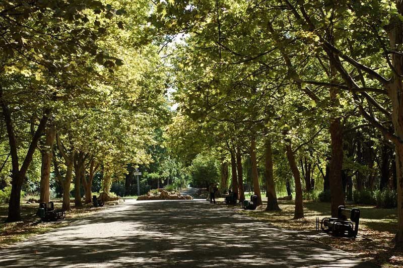 Truly a family park - My, Vacation, Travels, Tourism, Туристы, Krasnodar, Relaxation, Longpost, The park