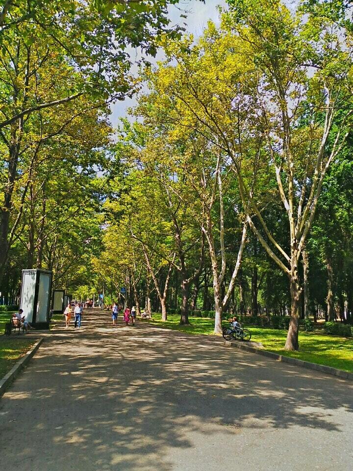 Truly a family park - My, Vacation, Travels, Tourism, Туристы, Krasnodar, Relaxation, Longpost, The park