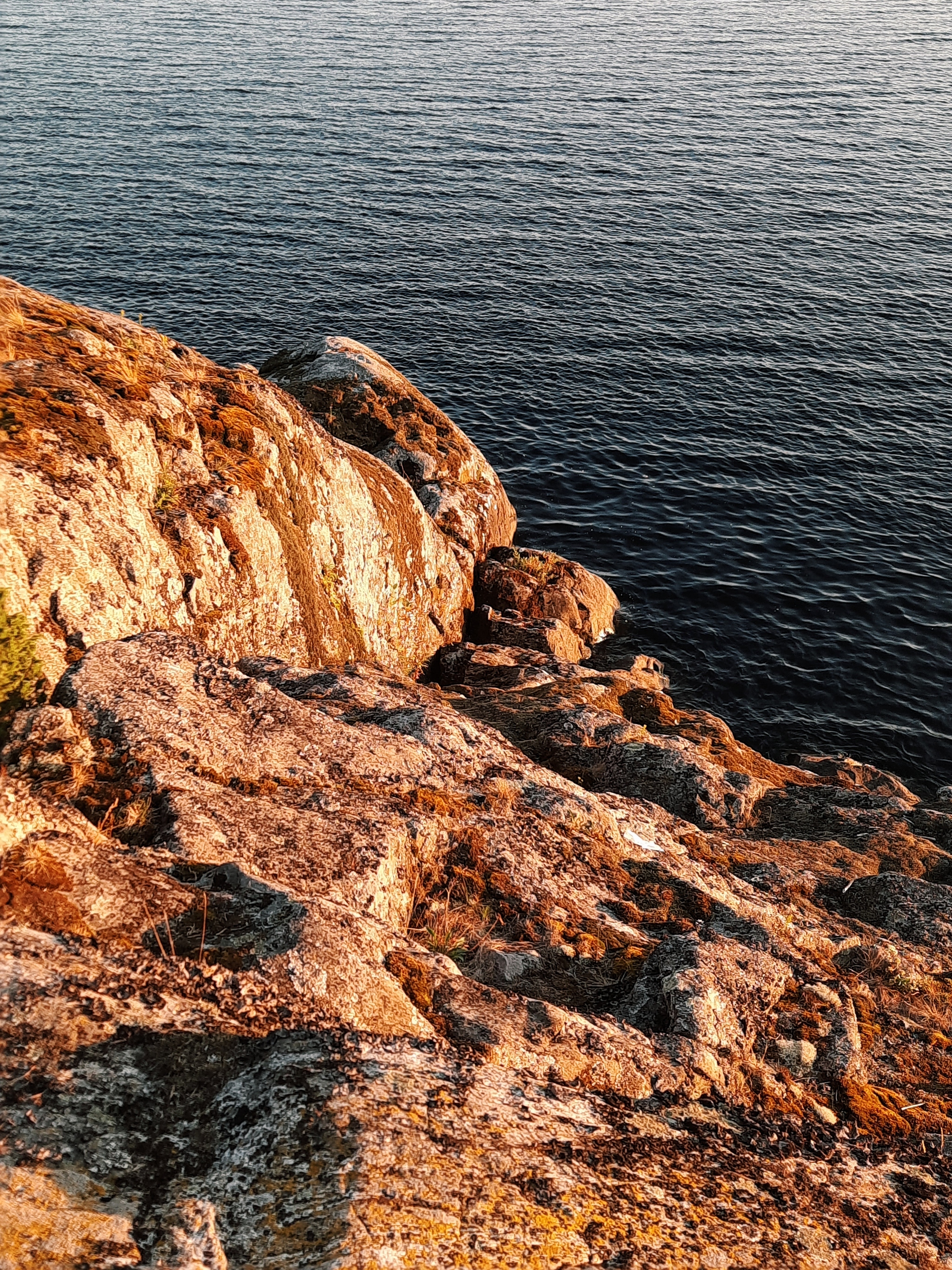 Kayaking on Ladoga (summer 2021) - My, Water tourism, Ladoga, Kayaking, Travels, Nature, Longpost