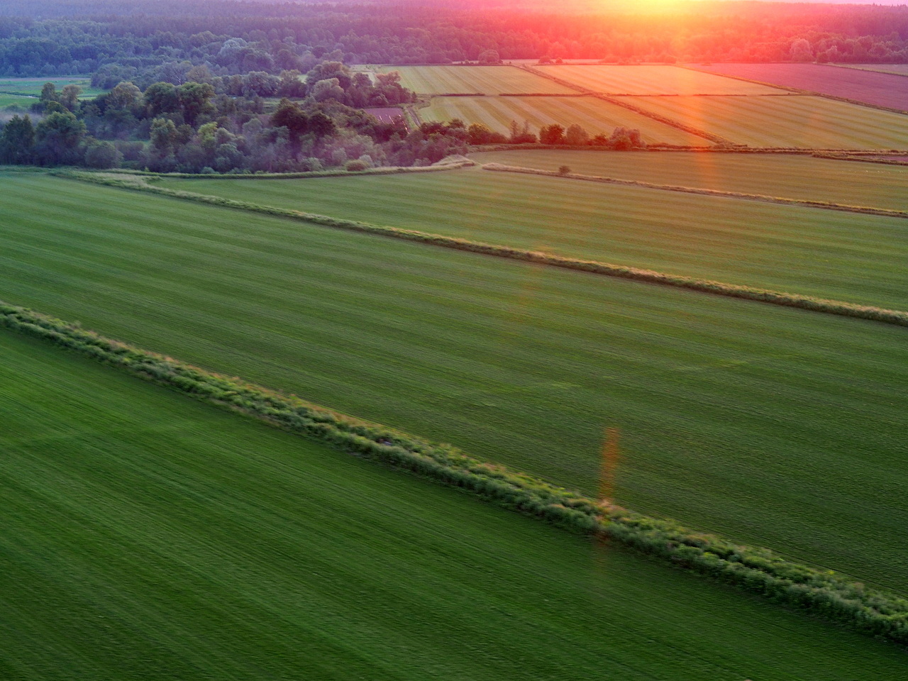 The beauty of a summer flying evening - My, The sun, Luck, Evening, Paralet, Paragliding, Luck, Sunset, Sky, Heron, Field, beauty of nature, Summer, Video, Longpost