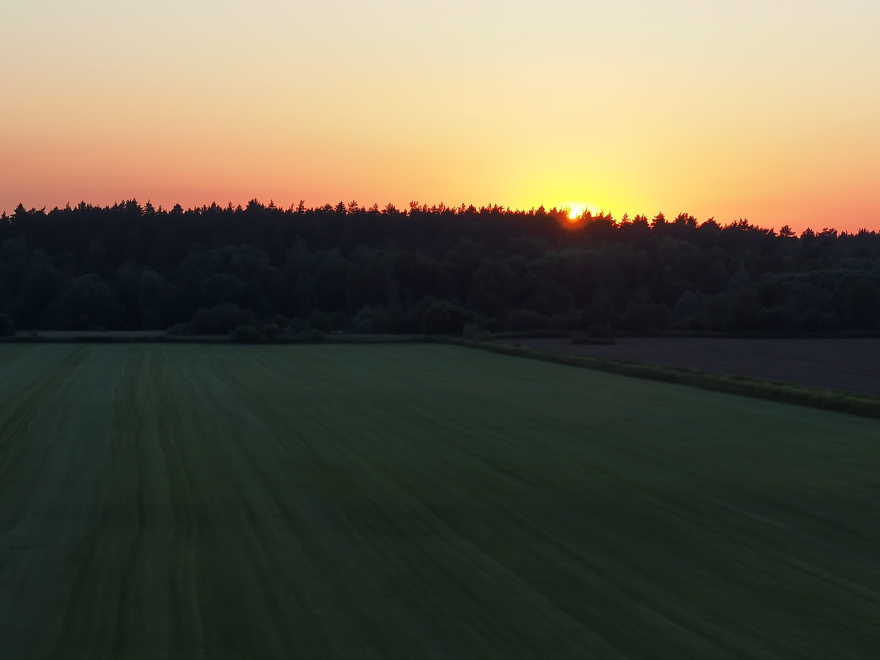 The beauty of a summer flying evening - My, The sun, Luck, Evening, Paralet, Paragliding, Luck, Sunset, Sky, Heron, Field, beauty of nature, Summer, Video, Longpost