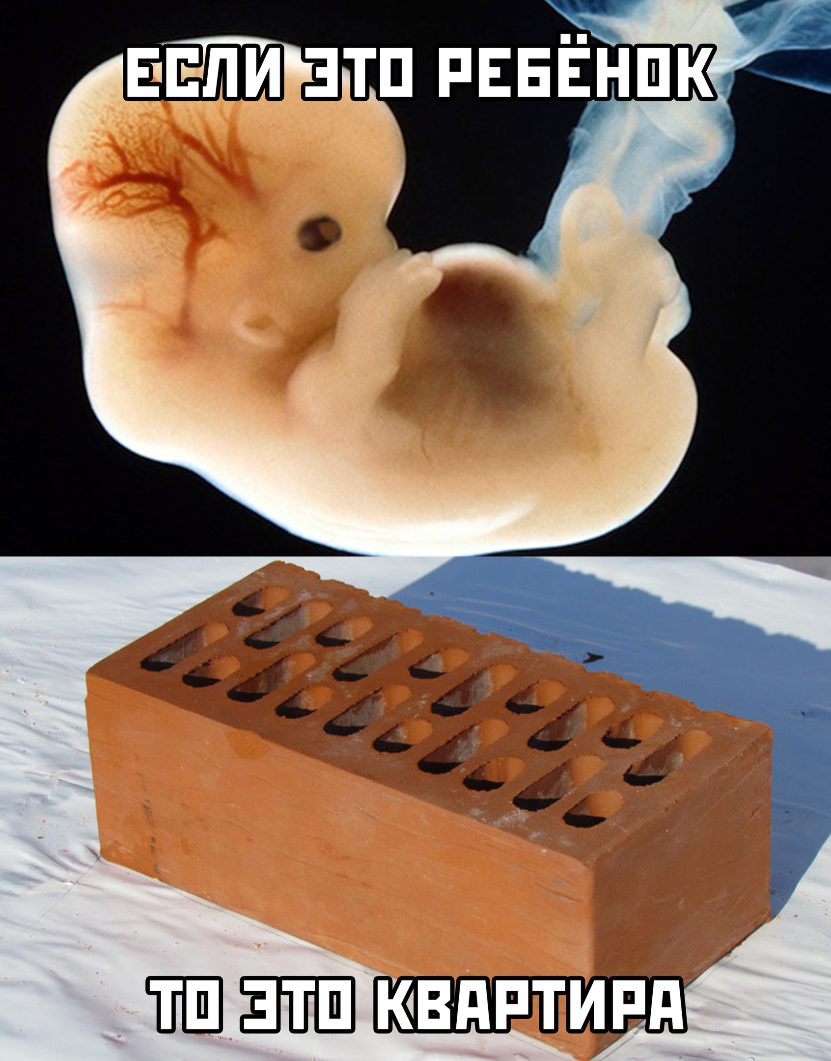 Well, is it the same? - Humor, Picture with text, Bricks, Embryo, Children, Subtle humor